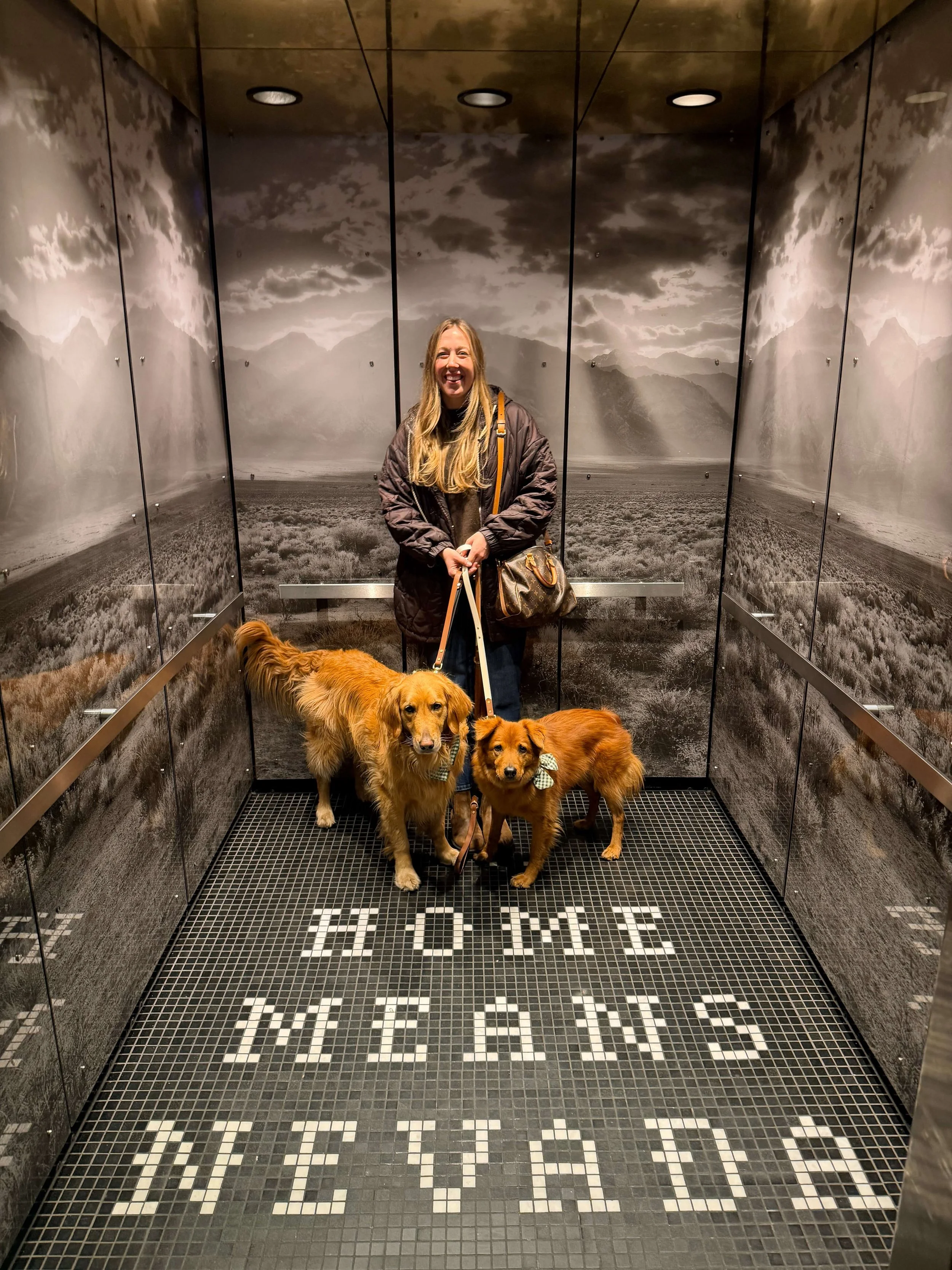 8. Reno_Renaissance.JPG