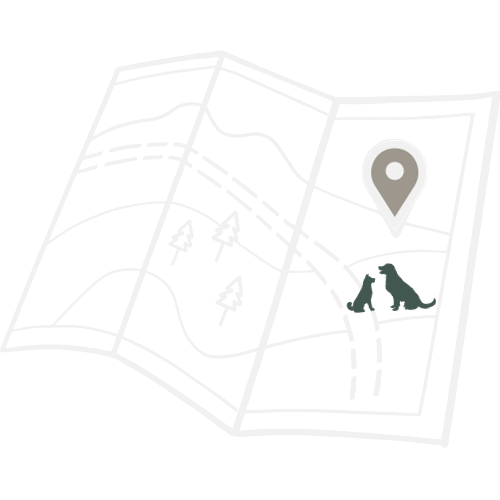 Dog Friendly Destination Guides Jet Set Dog Life dog-friendly-destination-guides-jet-set-dog-life