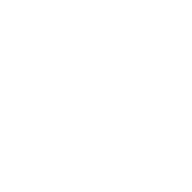 Mindful Focused Therapy