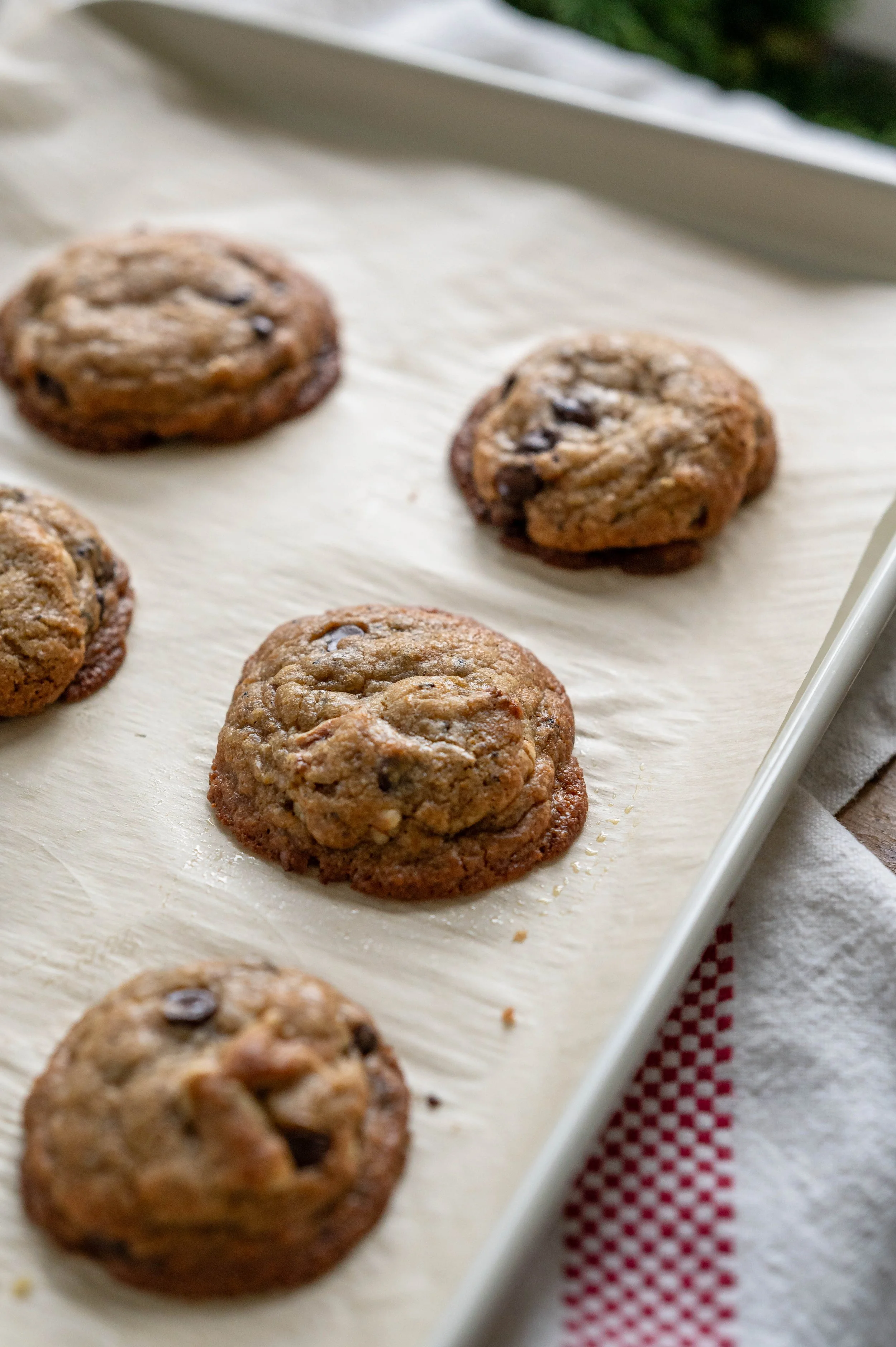 Take & Bake Chocolate Chip Cookies.JPG