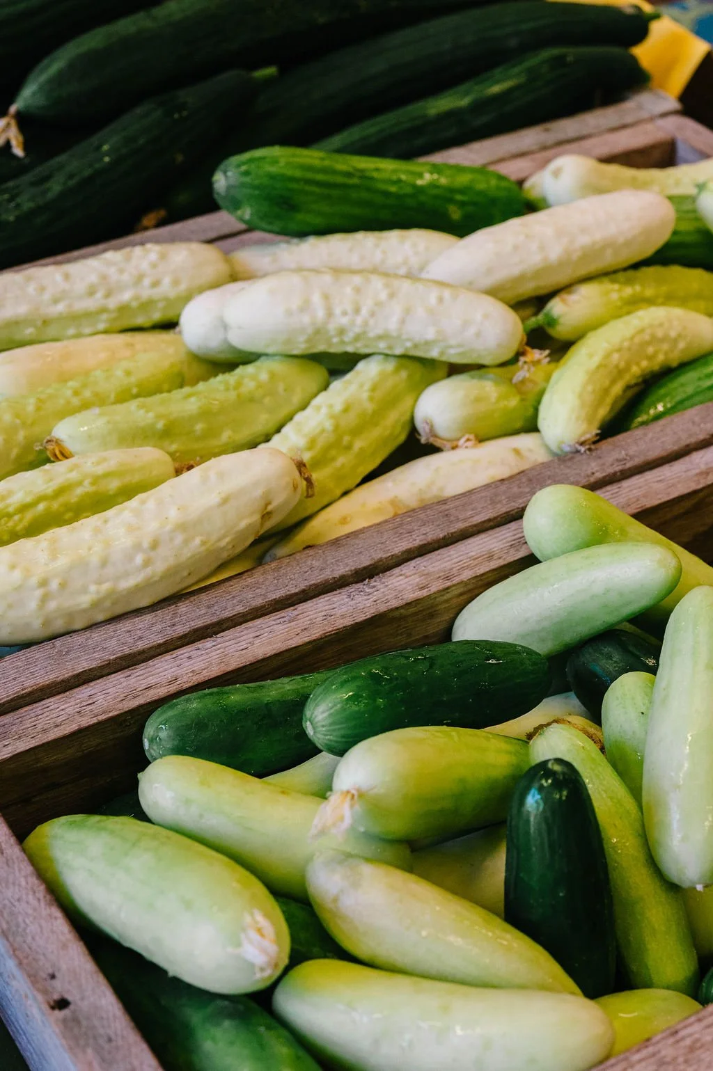 Kingfisher Farm Market.jpg (Copy)