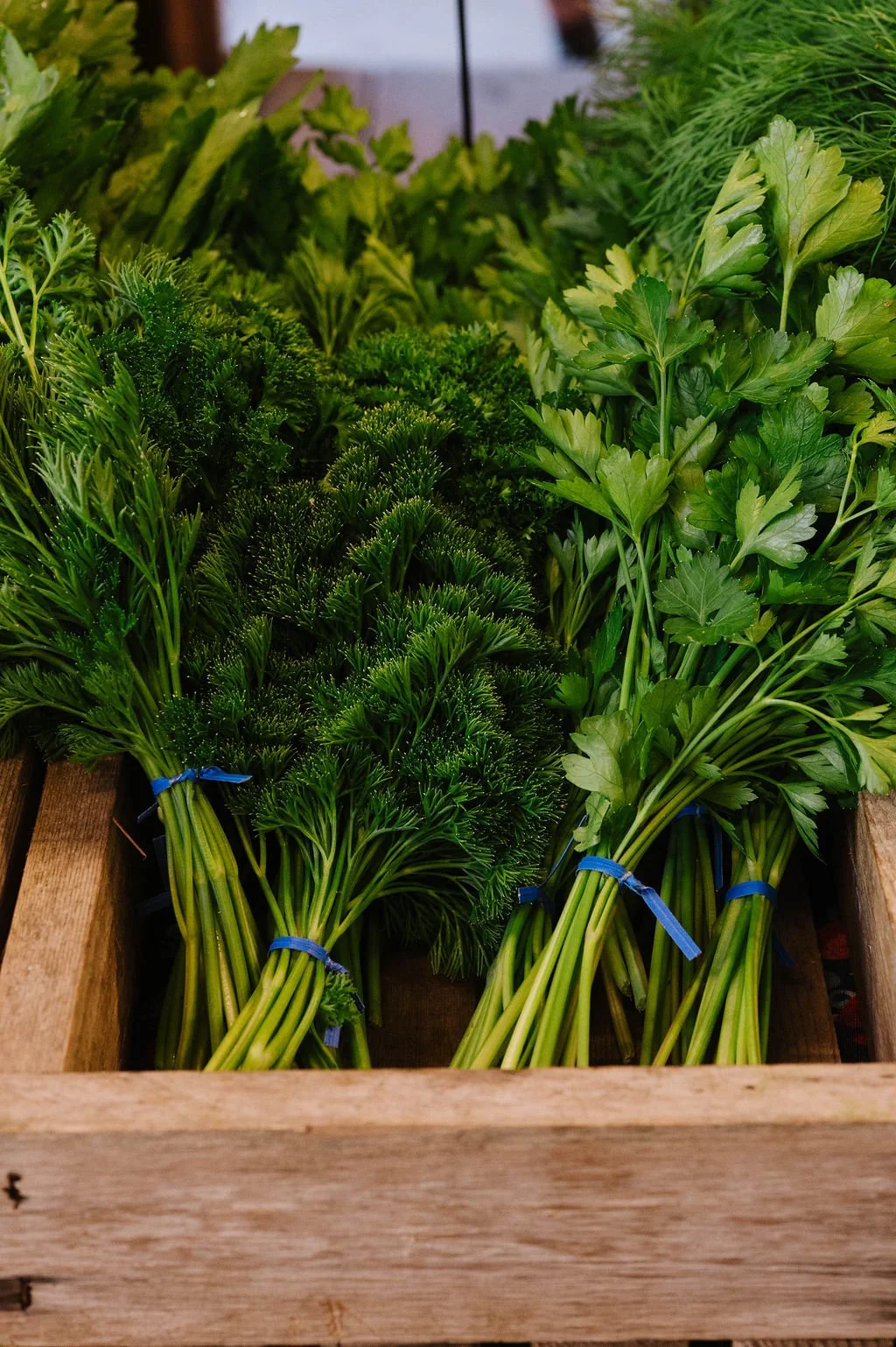 Local Organic Farm Vancouver.jpg