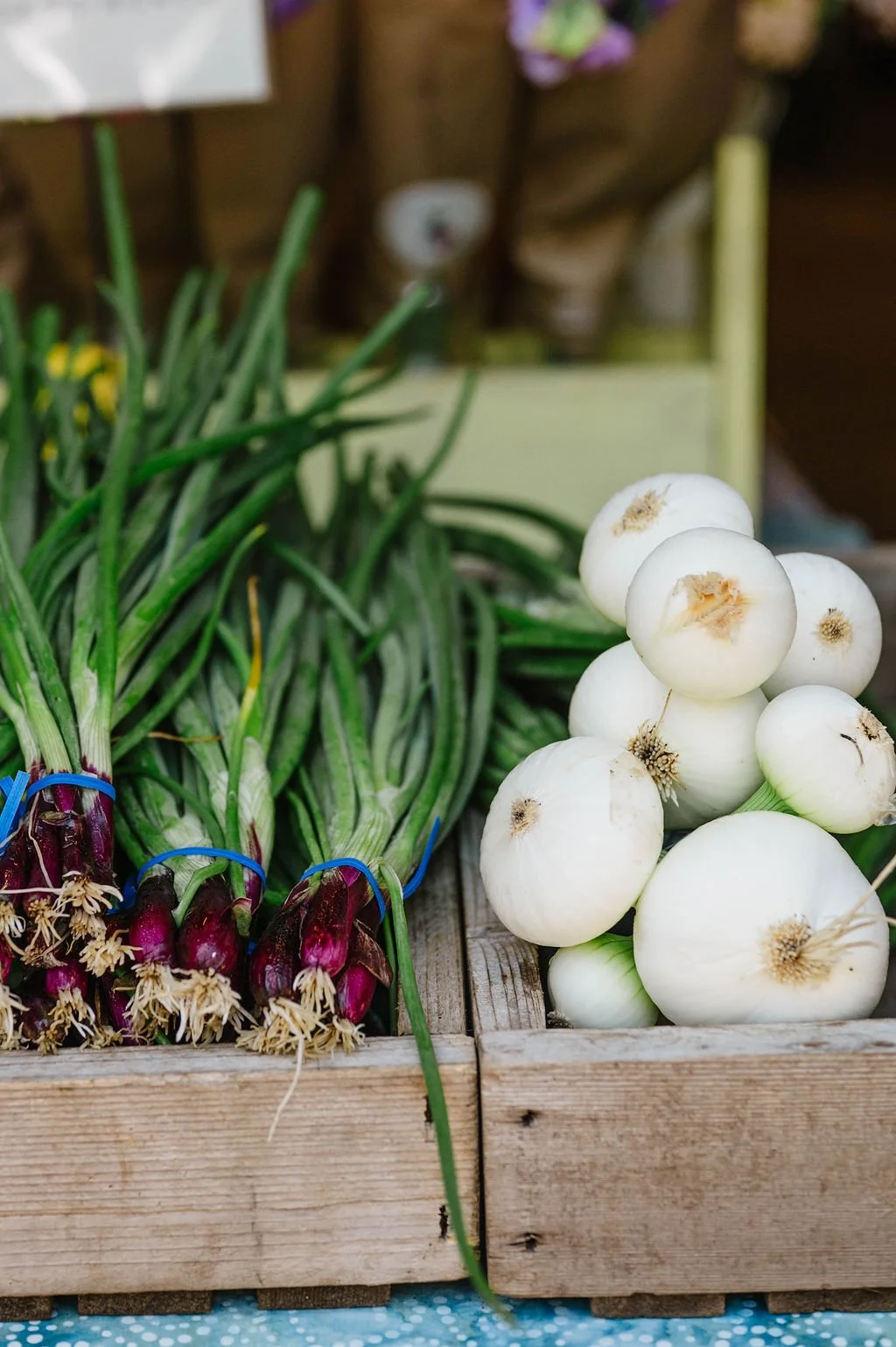 Organic Vegetables.jpg (Copy)
