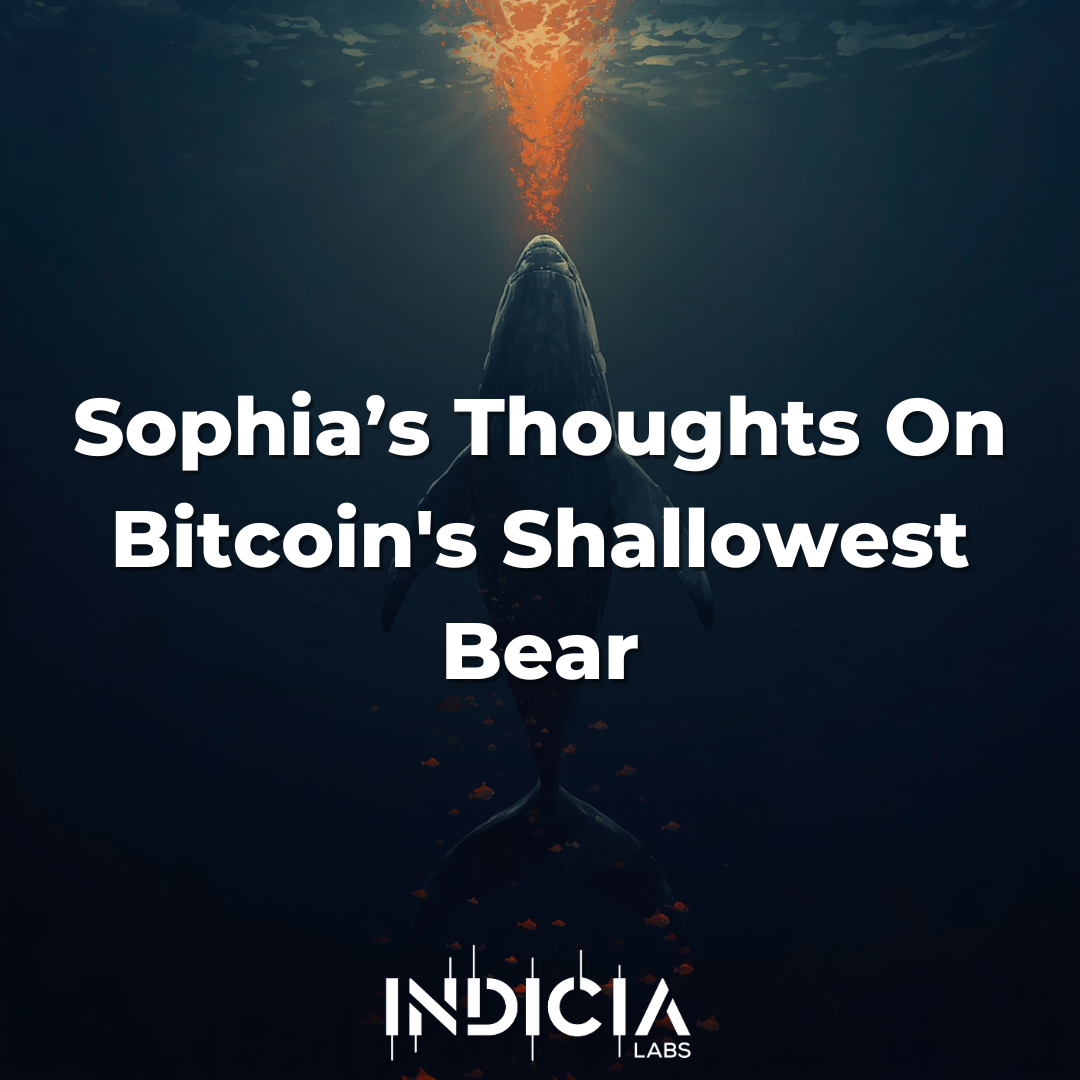 Sophia’s Thoughts On Bitcoin's Shallowest Bear