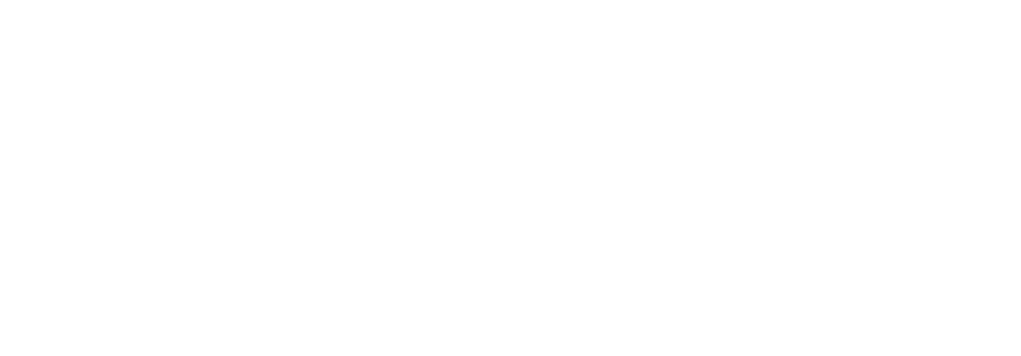 NDIA Labs logo in white on black background with vertical lines.