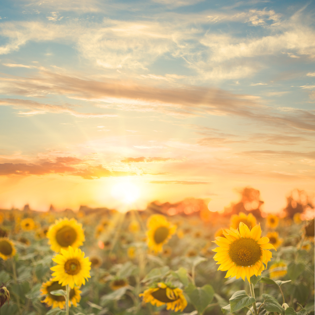 10 Must-Try Summer Experiences in the UK (and How to Actually Fit Them In)