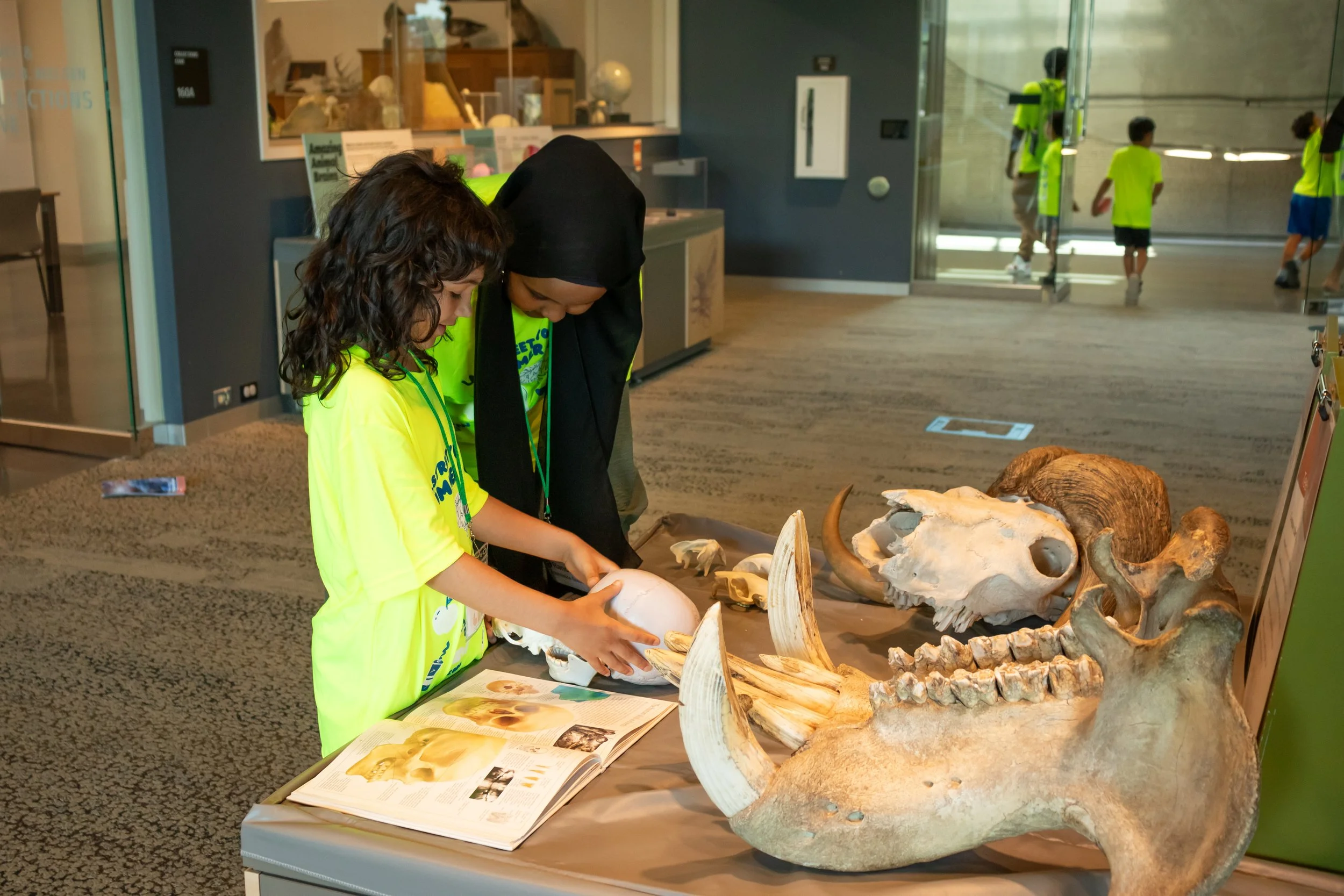 Photo Courtesy of GMCC