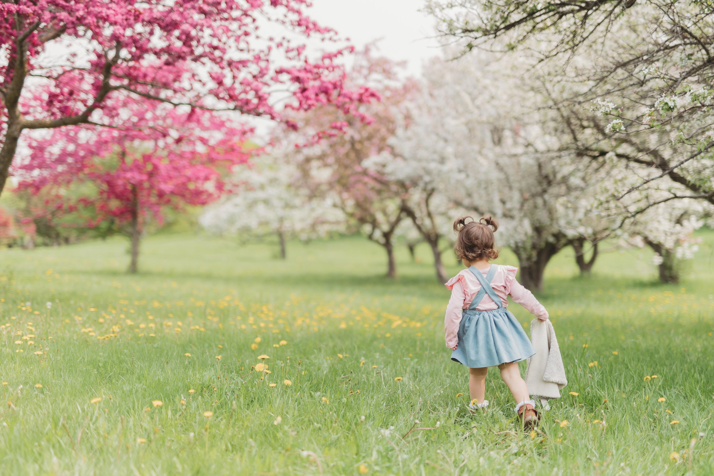 Photo Courtesy of Minnesota Landscape Arboretum