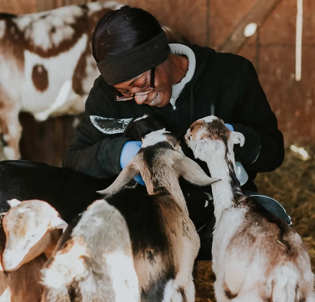 Photo Courtesy of Bonton Farms