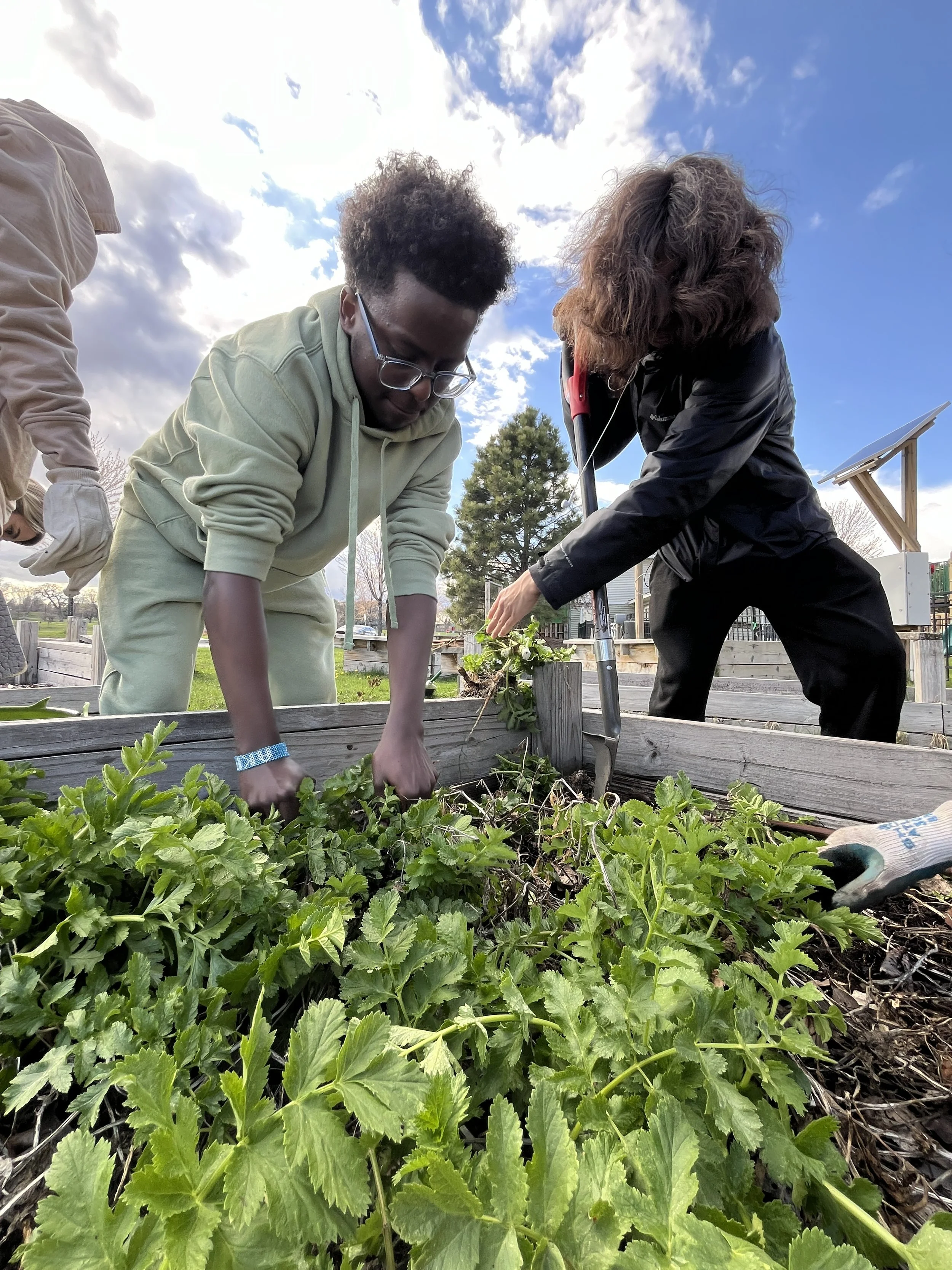 Photo Courtesy of Green Garden Bakery