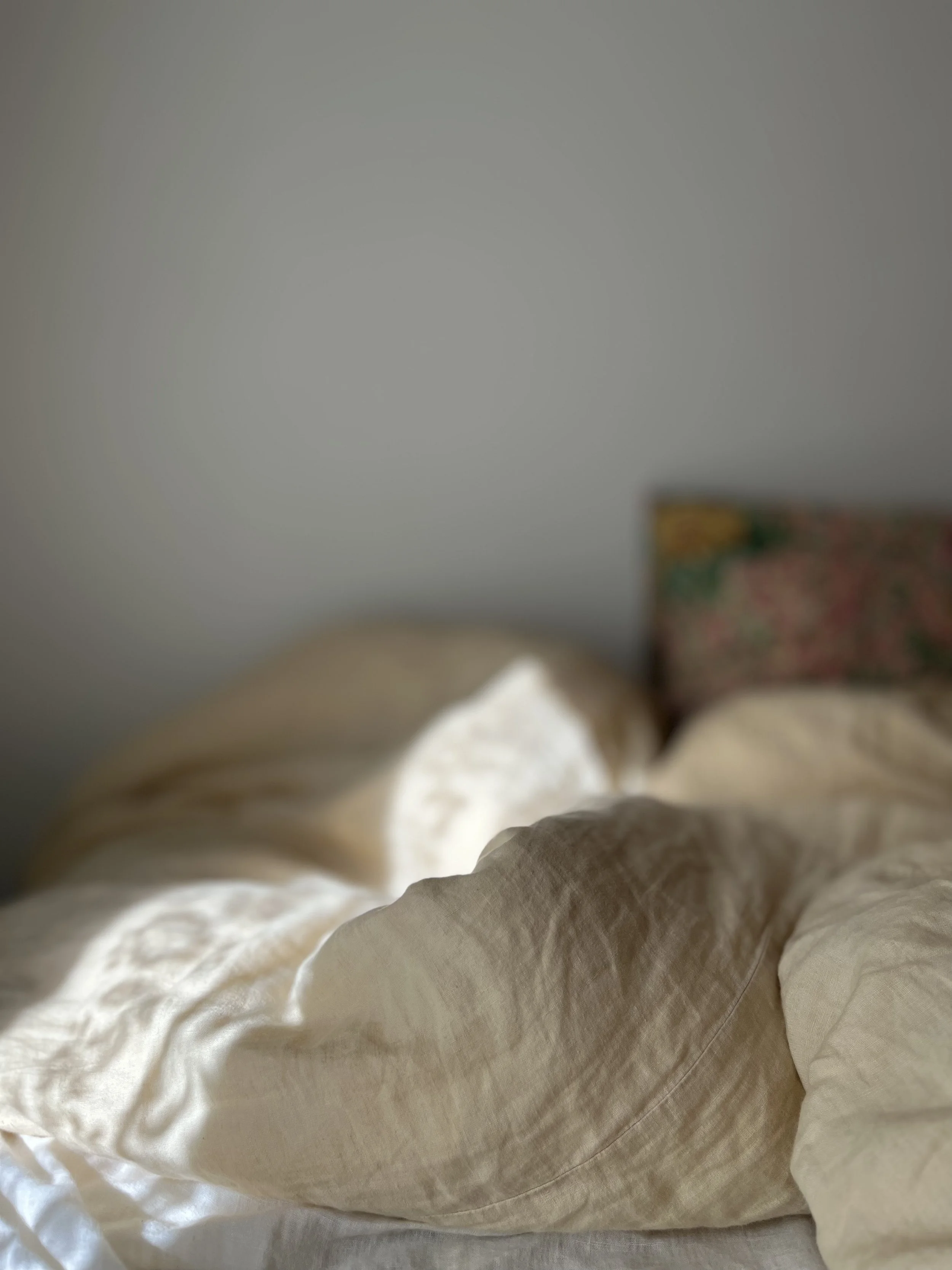 7F67767A-2B27-47DF-9795-F33EDD2CCAC7_L0_001-7.9.2023 17.41.03.jpg