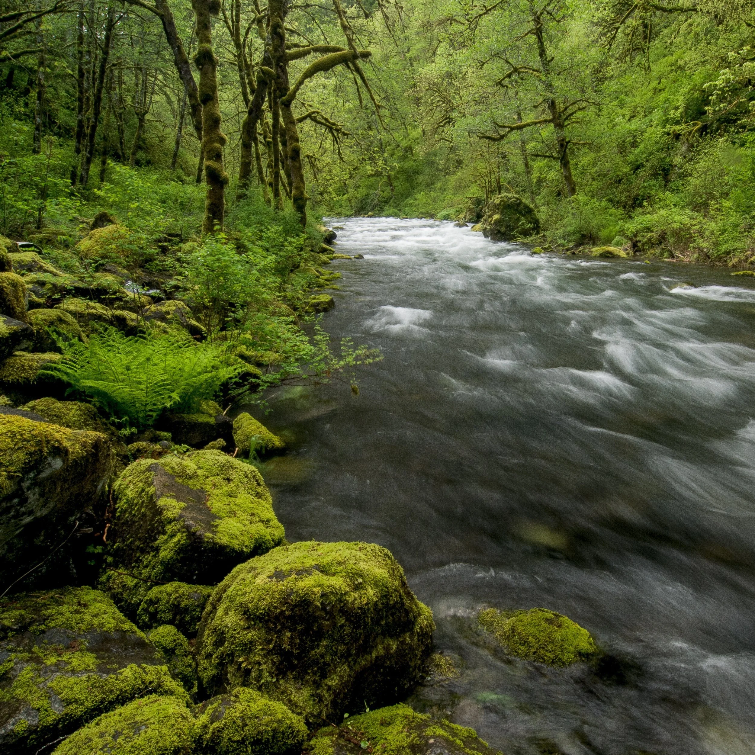 Columbia River 2024 — Doug Johnson Photography