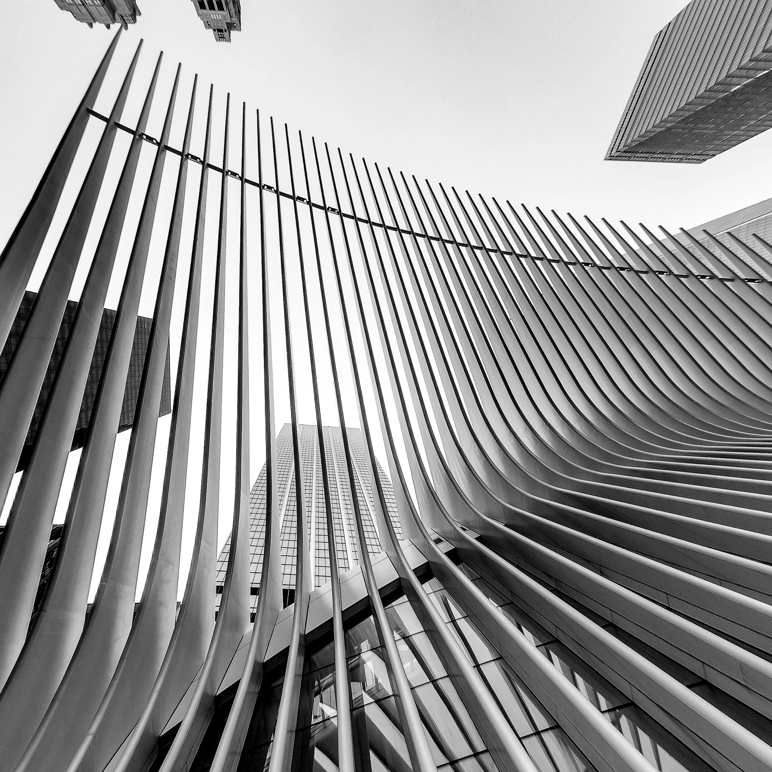 AdobeStock_397431585_Editorial_Use_Only.jpg