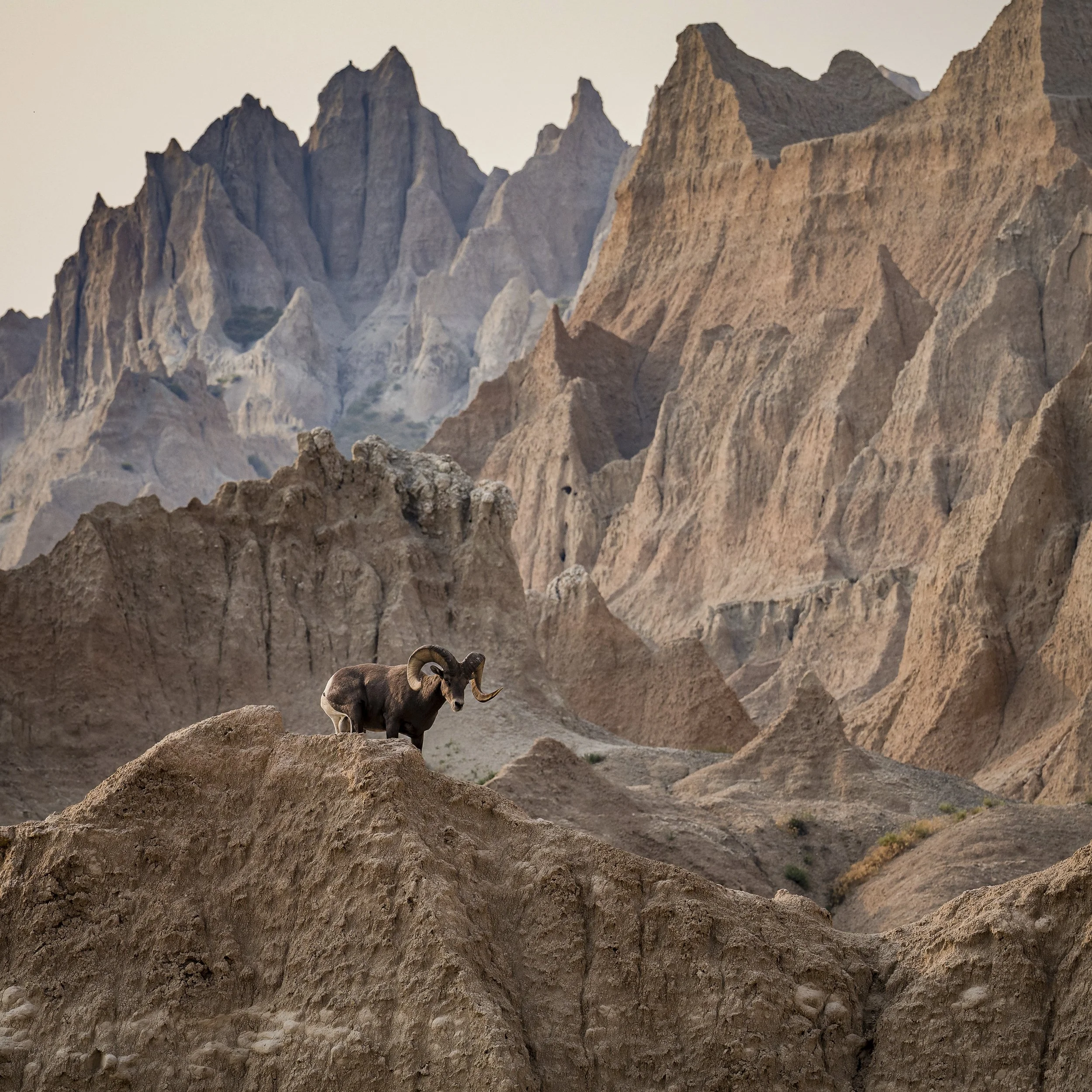 AdobeStock_630202676.jpg