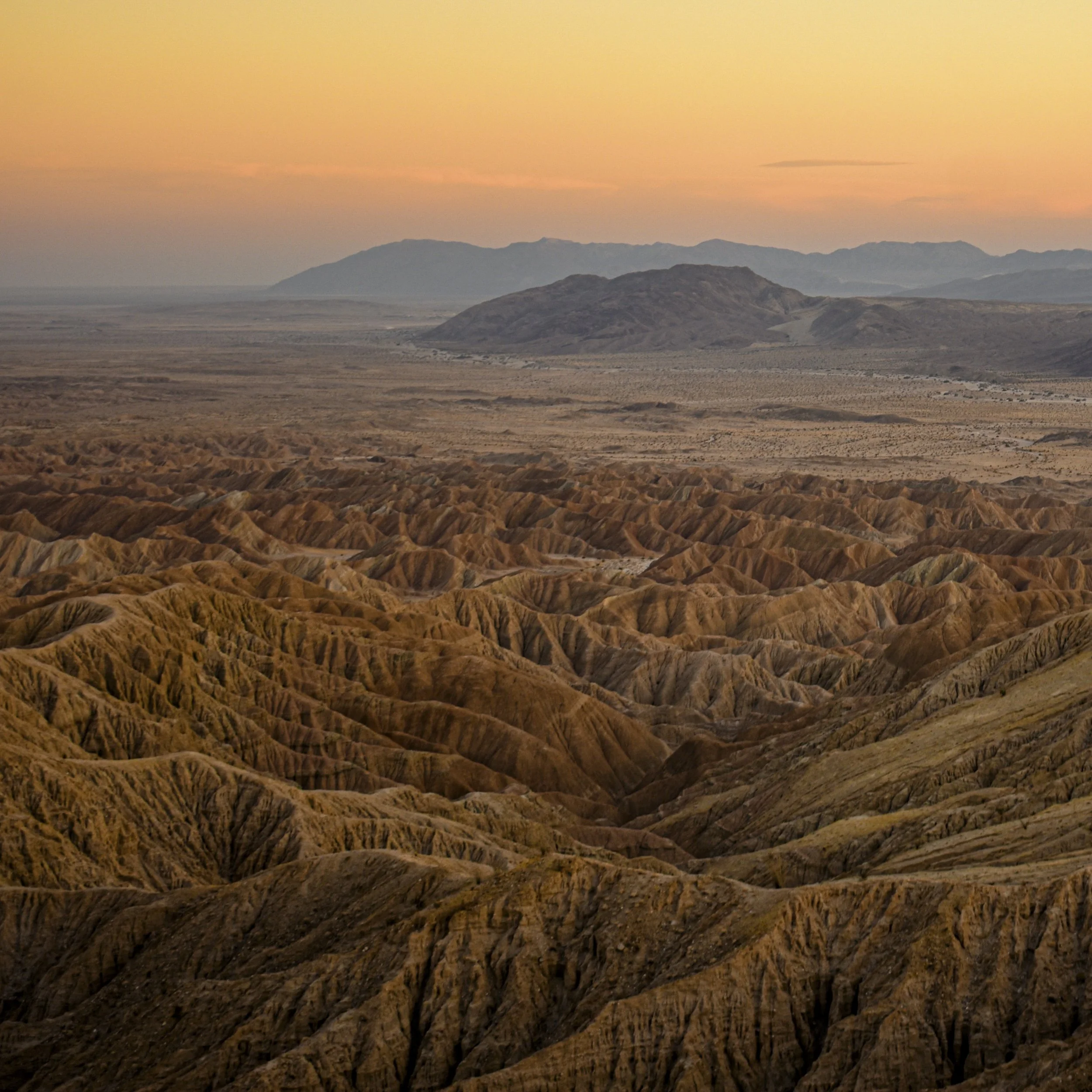 AdobeStock_1491247525.jpg