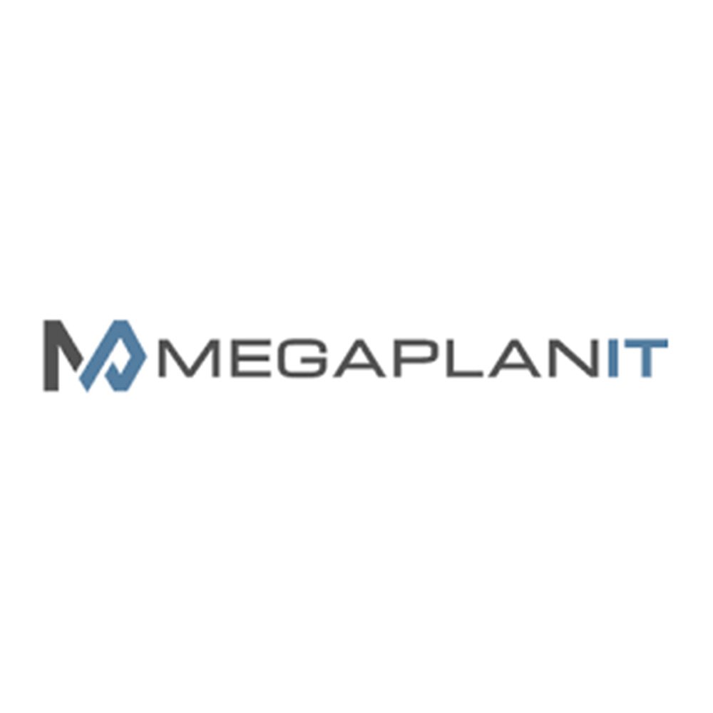 MegaplanIT.jpg