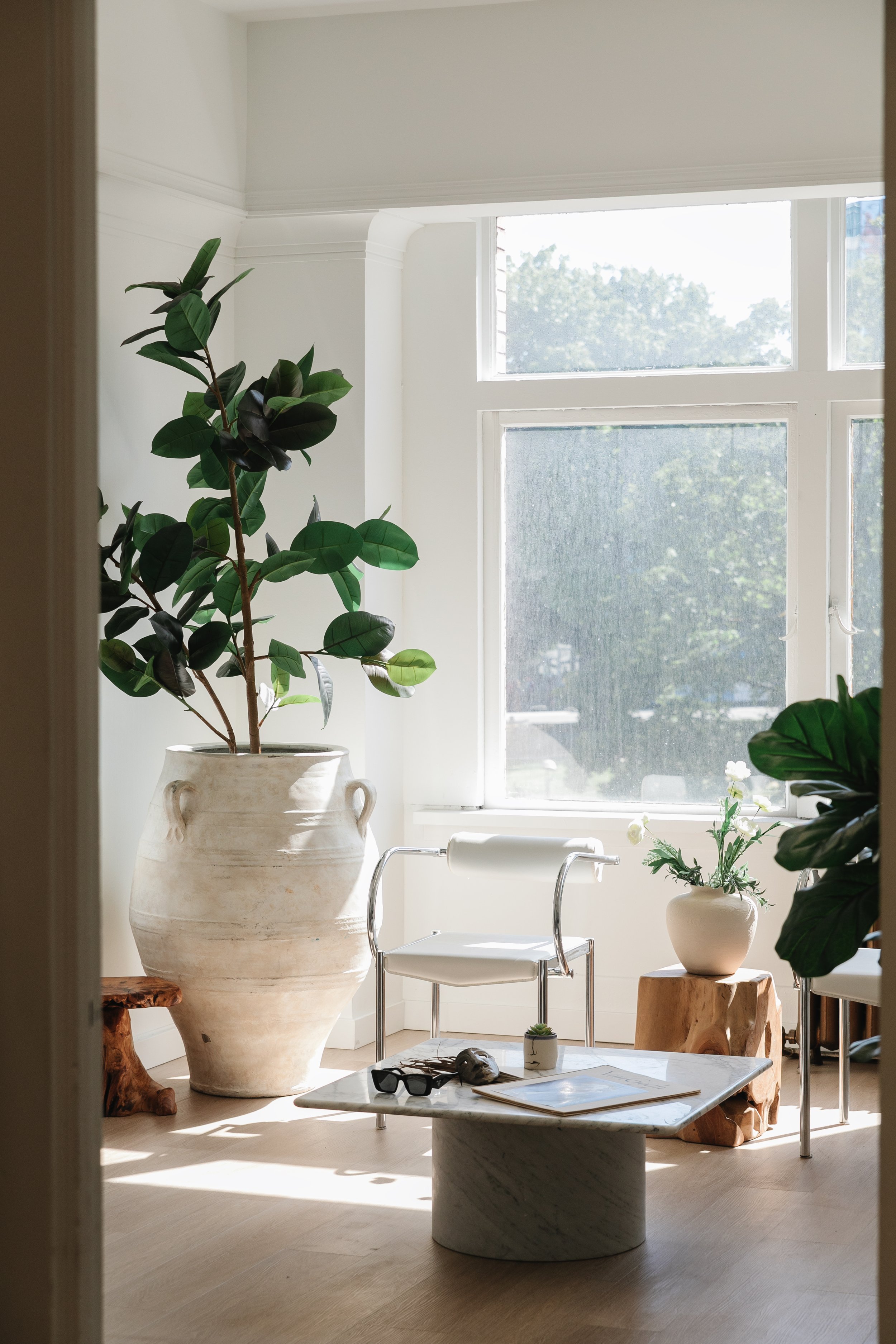Welcome to Alon Studio