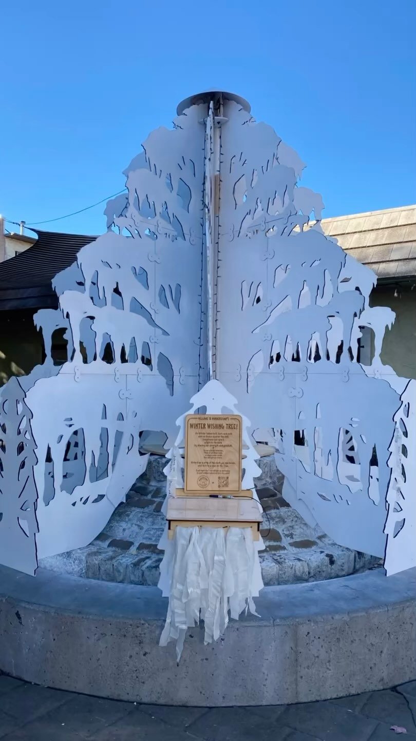 WonderStump's Winter Wishing Tree is here!!! Big thanks to our very first wisher 😍 See if you can find it before we tell you exactly where! And oh...so much more to come as night falls 😜
#petalumadowntown #petalumalocal #artinstallation #immersiv