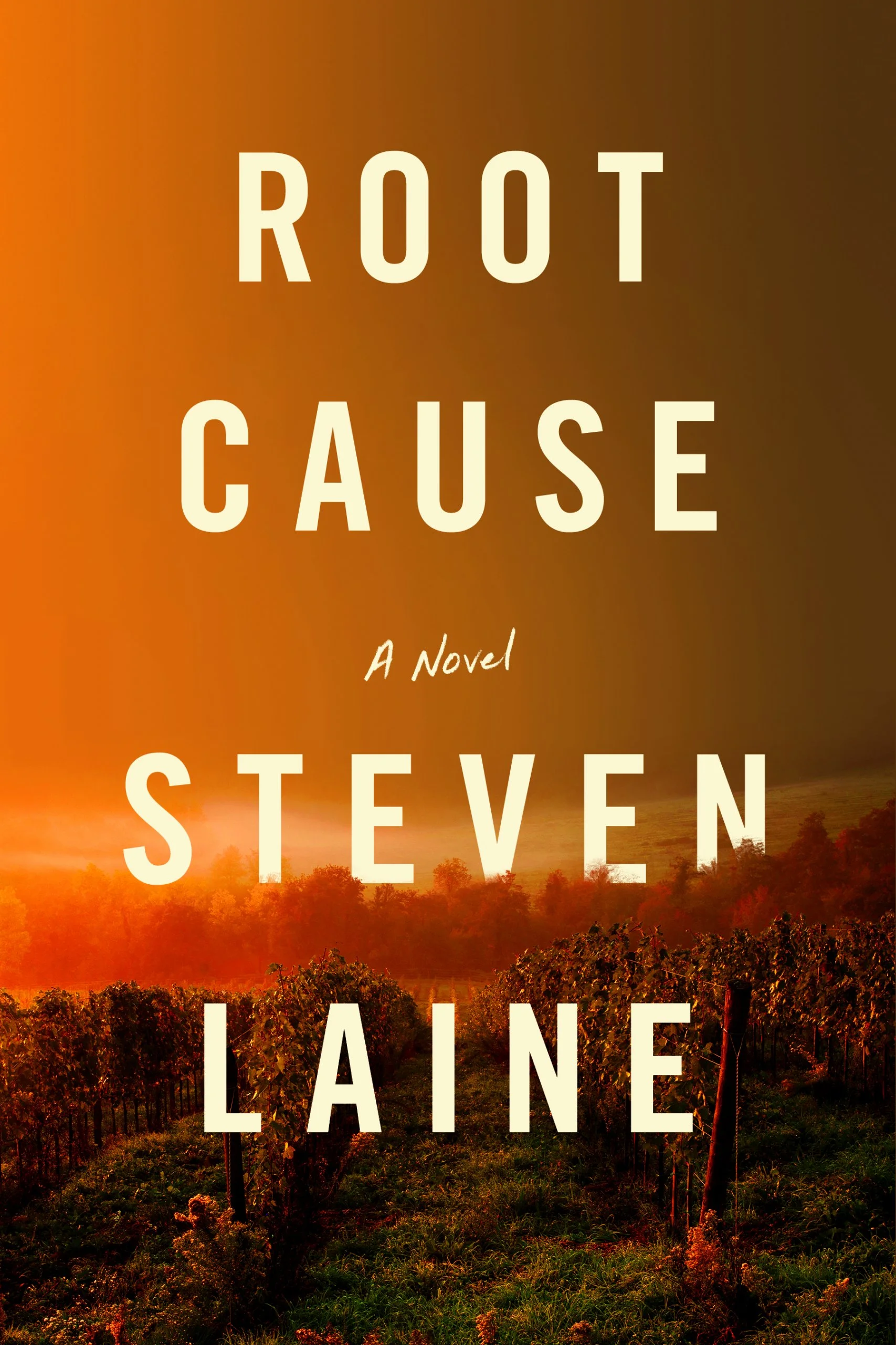 Root-Cause-Novel-Cover-FINAL-scaled.jpeg