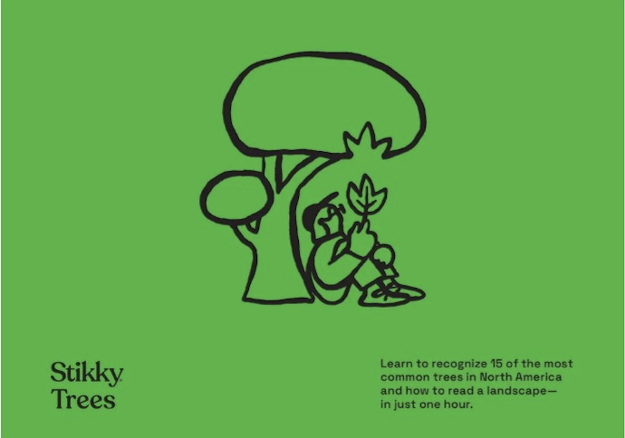 Stikky Trees: Learn to Identify 15 Common Trees in Just One Hour