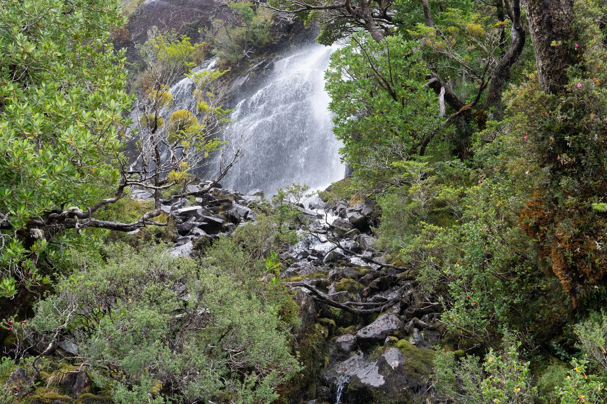 Waterfall in the Woods