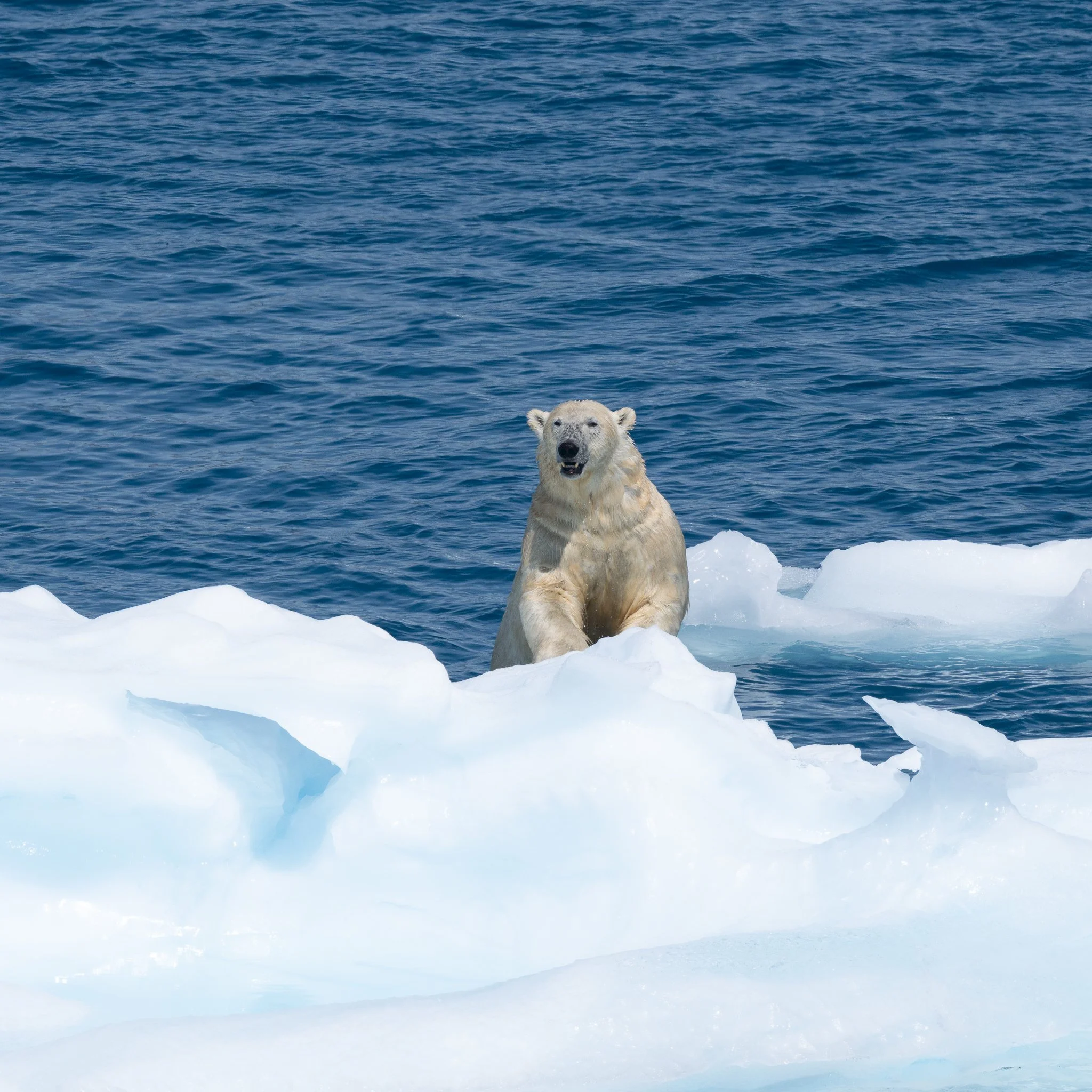 Climbing Up an Iceberg