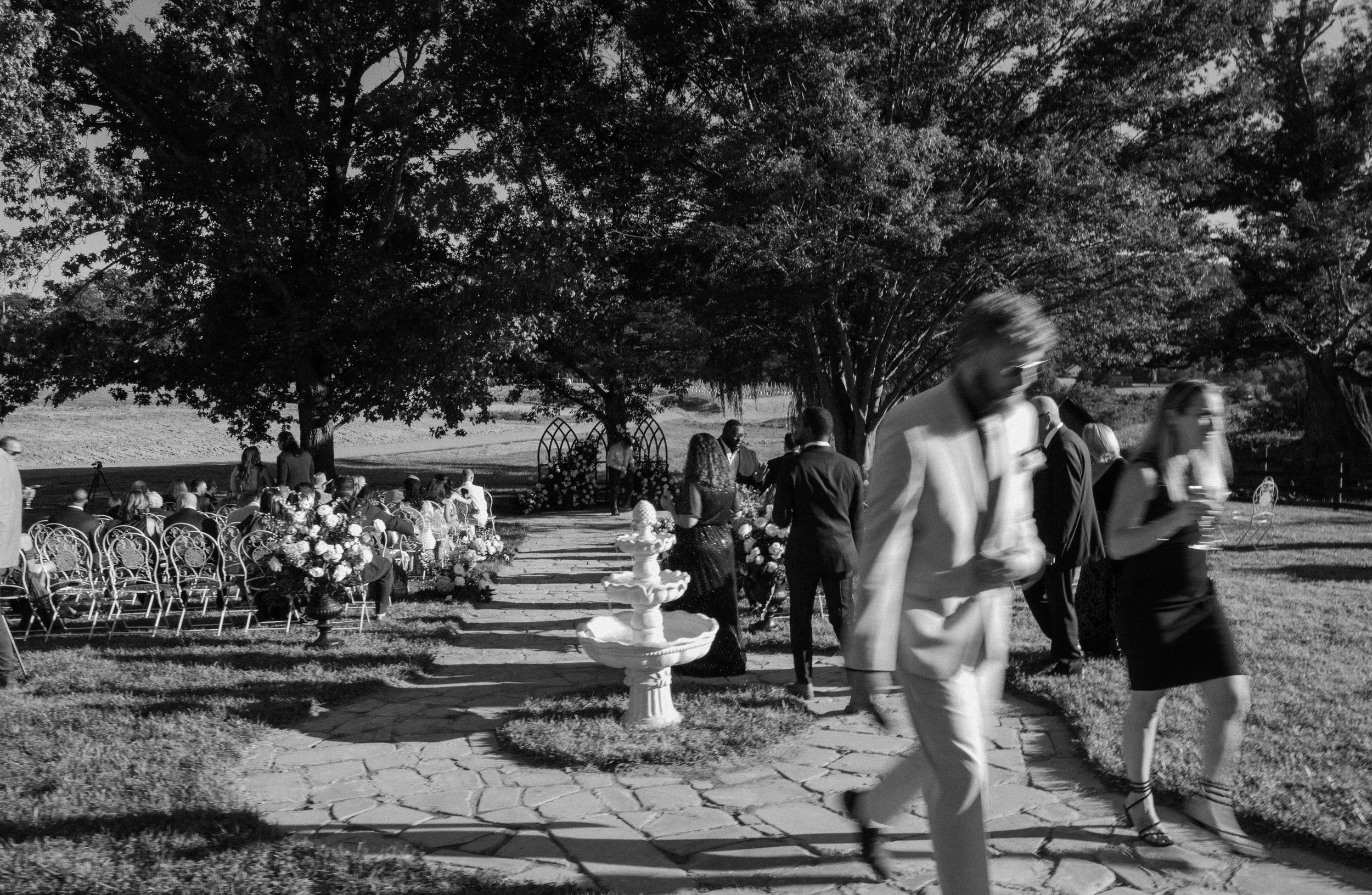 Black and white photo of an outdoor wedding with guests seated and standing under large trees, with decorated chairs and floral arrangements.