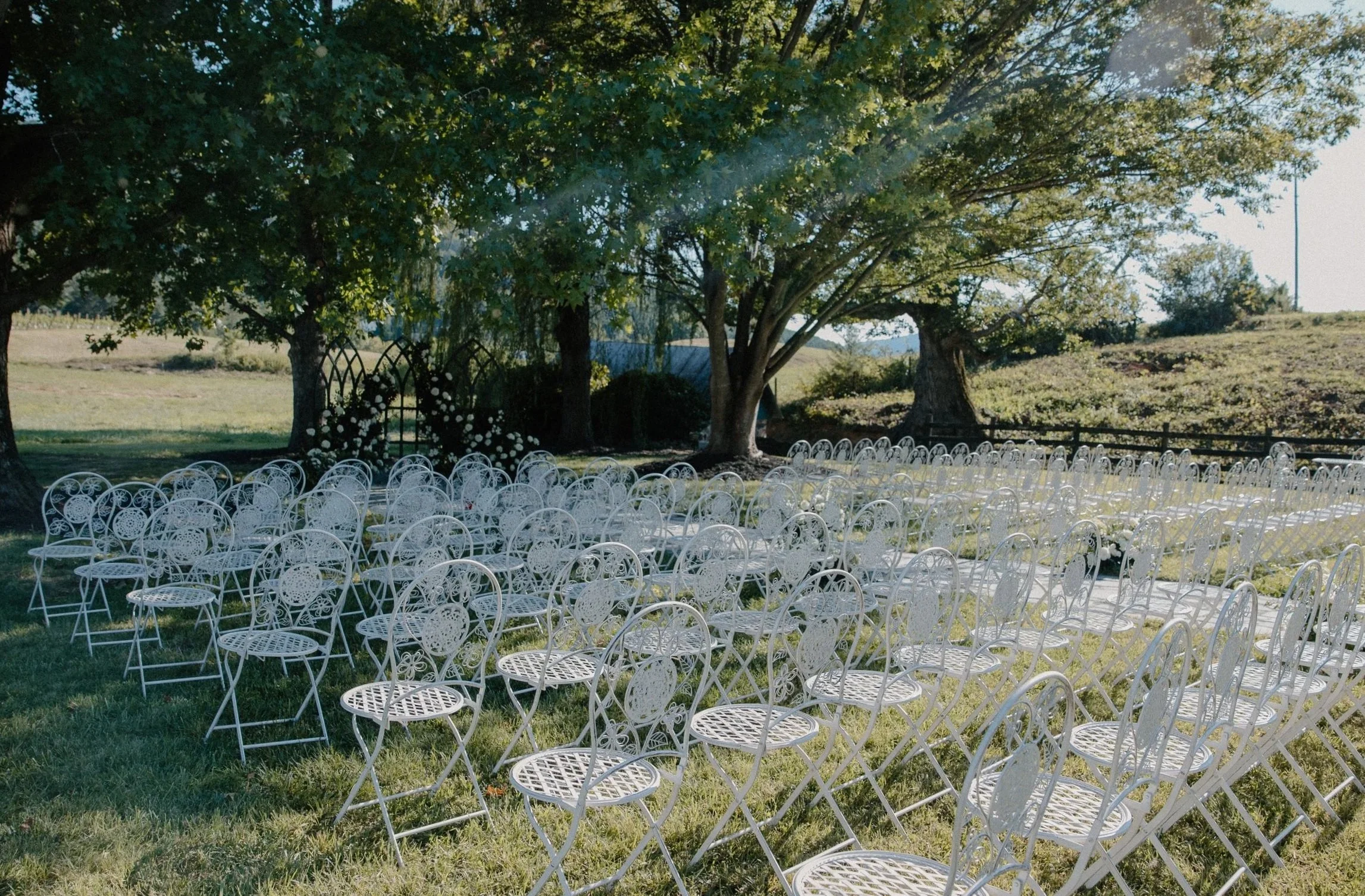 An outdoor wedding setup with multiple white metal chairs arranged in rows on grass, shaded by large trees with green foliage, on a sunny day.
