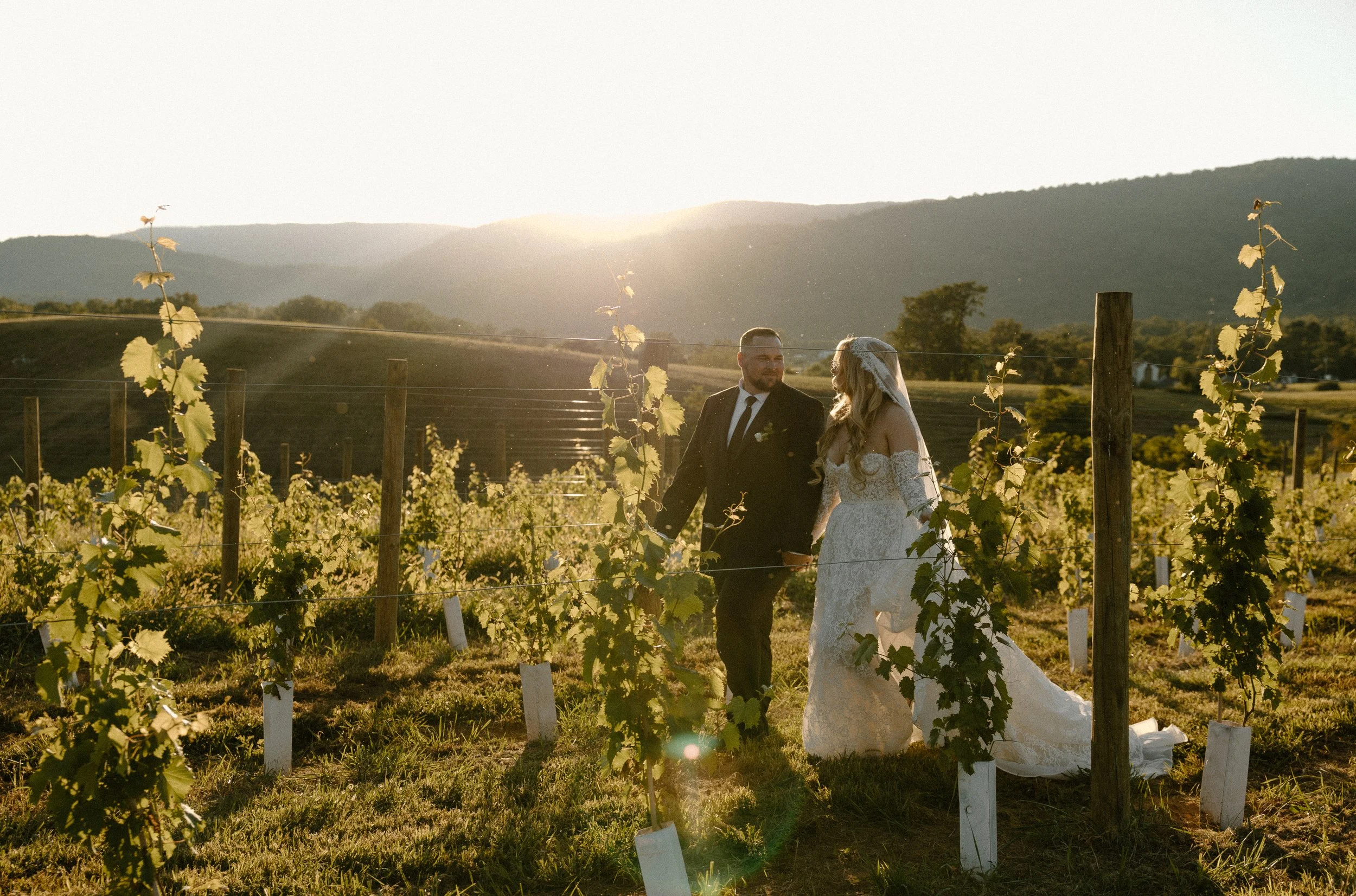 A bride and groom holding hands in a vineyard at sunset, surrounded by grapevines and rolling hills.