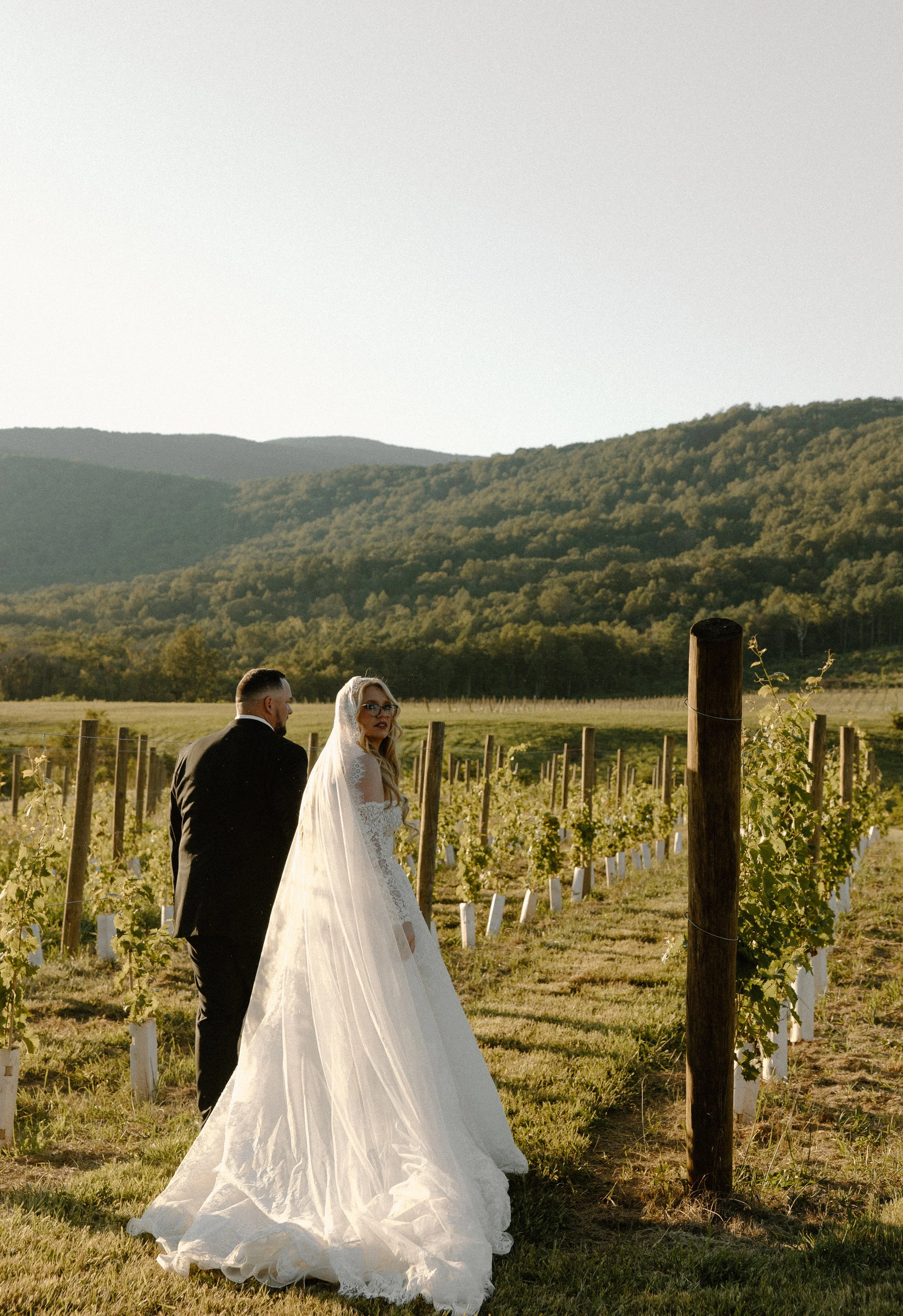 A bride and groom walking through a vineyard with mountains in the background during sunset, the bride wearing a white wedding dress and veil, the groom in a black tuxedo.