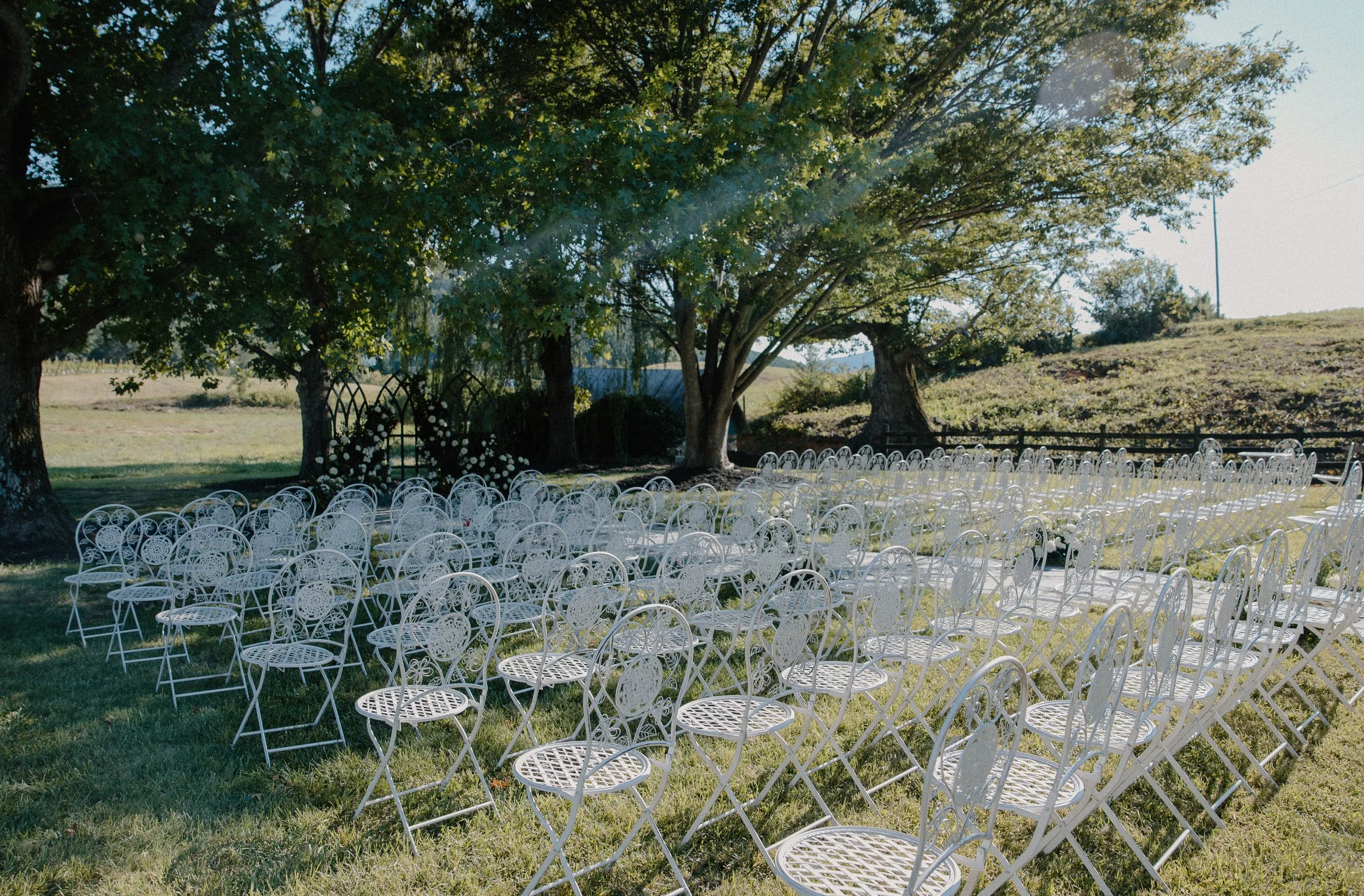 Outdoor wedding setup with white ornate metal chairs arranged on grass under a large leafy tree on sunny day.