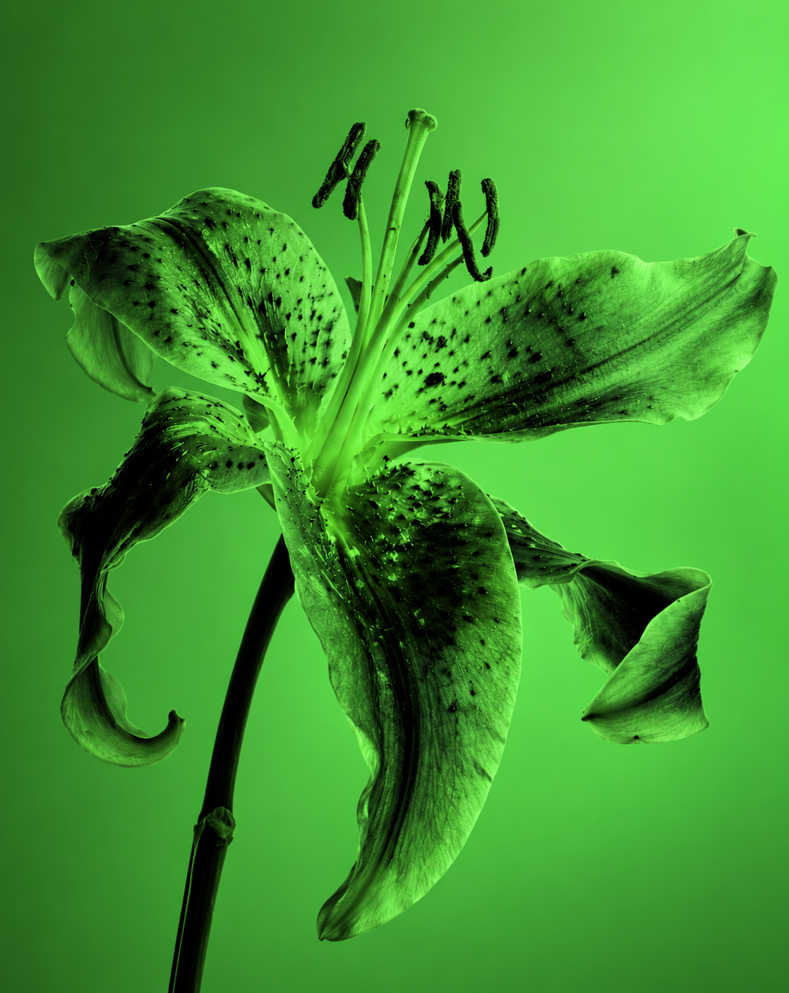 0EBF2E83-CEF3-408C-BC32-F48BFB03E31D.PNG