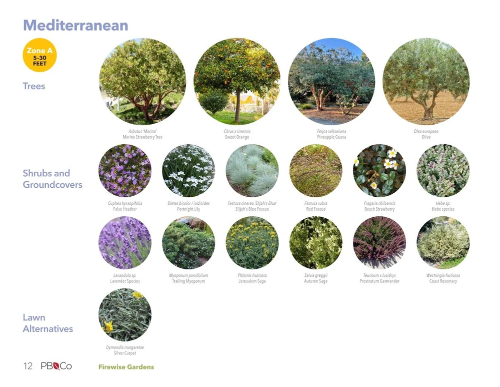 Firewise Tree Firewise Gardens Booklet — Pamela Burton & Company