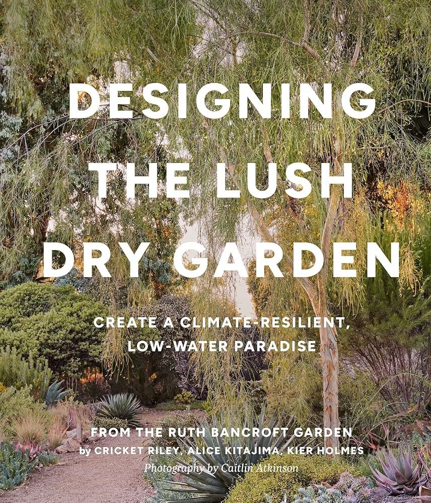 'Designing the Lush Dry Garden' Feature