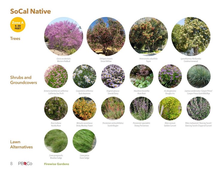 Firewise Tree Firewise Gardens Booklet — Pamela Burton & Company