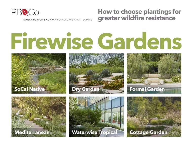 Firewise Drawing Firewise Gardens Booklet — Pamela Burton & Company
