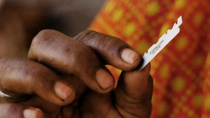 Daring to Suggest that All Cultures are Not Equal