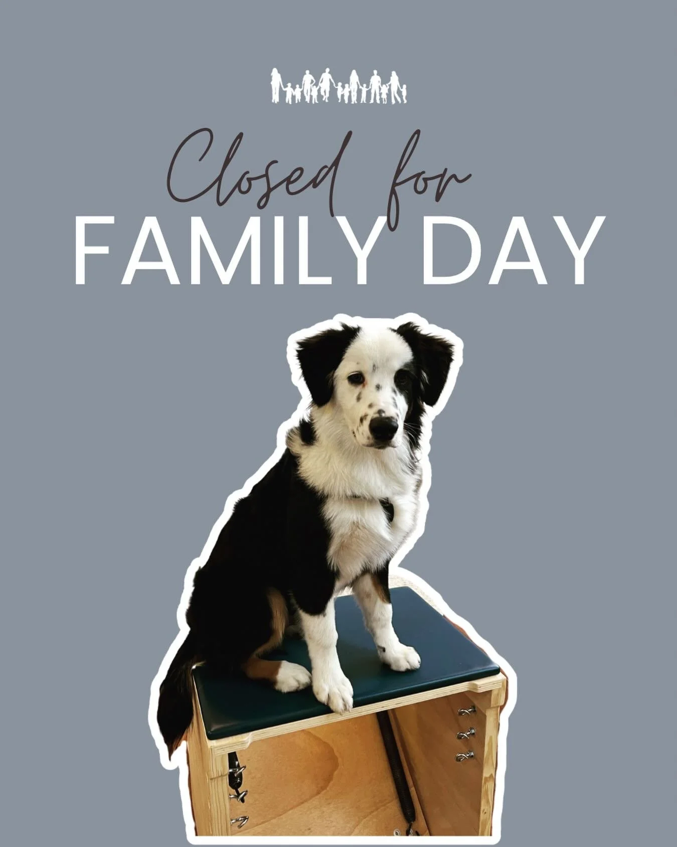 Happy Family Day 💛
Taking a little &ldquo;paws&rdquo; from Pilates today 🐾 We hope you&rsquo;re enjoying time with family and loved ones! 
 #pilates #dogsofinstagram #pilatesstudio #kamloops #familytime