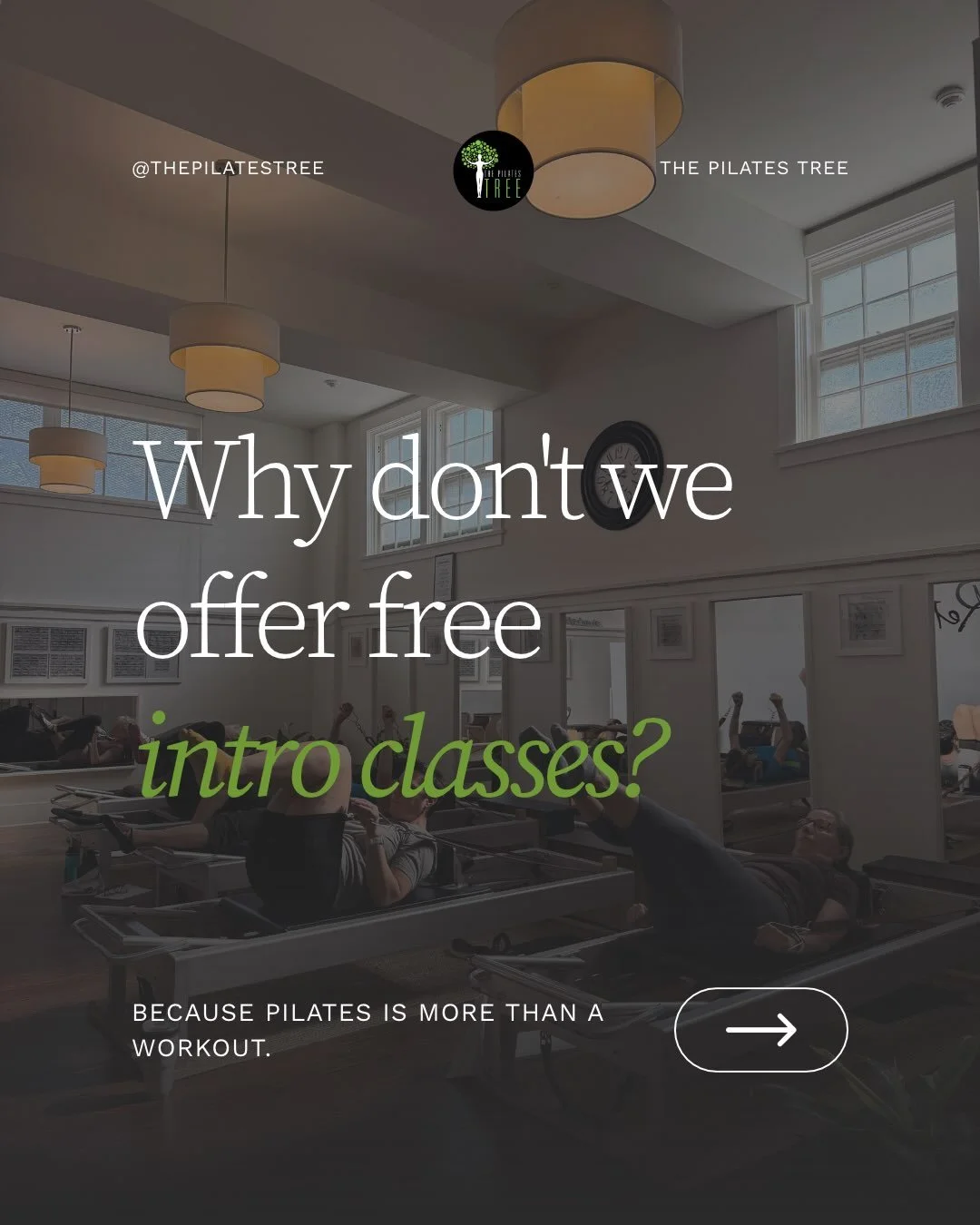 At The Pilates Tree, we believe your introduction to Pilates deserves more than a quick trial.

Classical Pilates has been practised and passed down through generations. It&rsquo;s a method with depth, and we want every new client to have the opportu