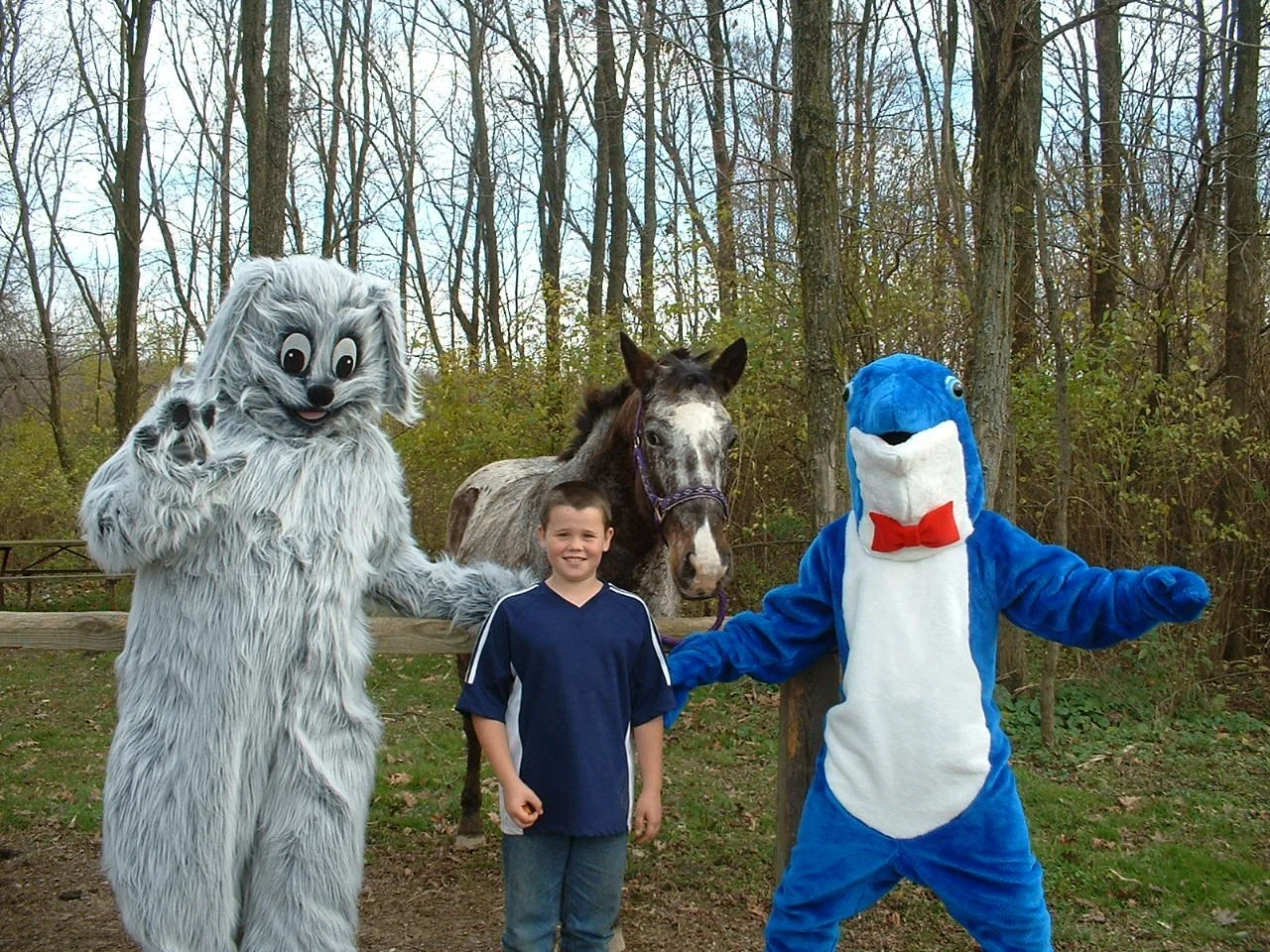 Schnoodles & Bernie at horse ranch pic 2.JPG