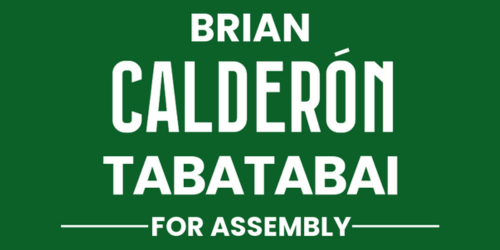 Brian Tabatabai For Assembly
