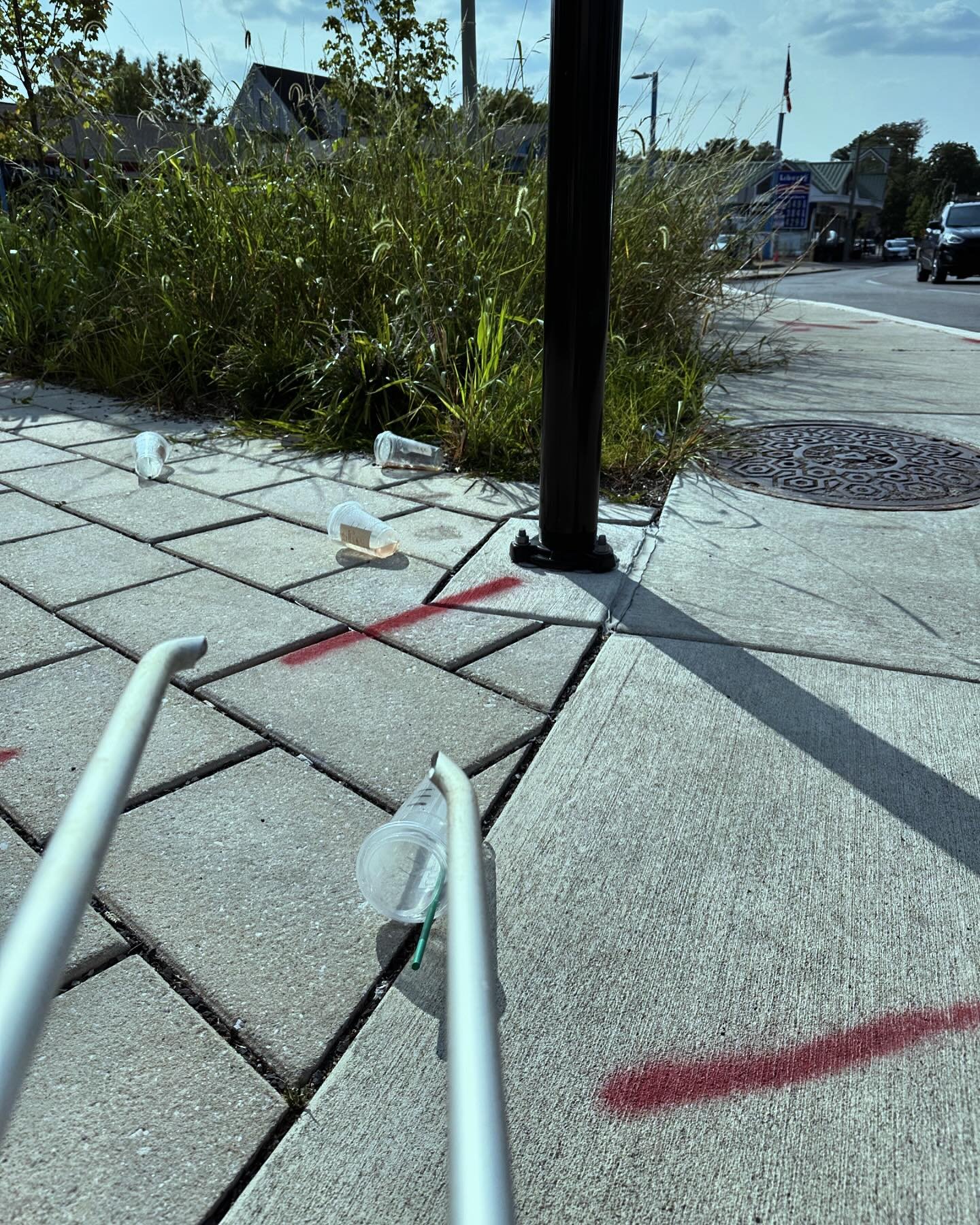 Beautiful and newly redone little corner of Montgo Ave and Old Lancaster Rd attracts litter as there is no trash can and those seemingly overgrown native plants unfortunately invite improper disposal of &hellip; you guessed it food and beverage packa