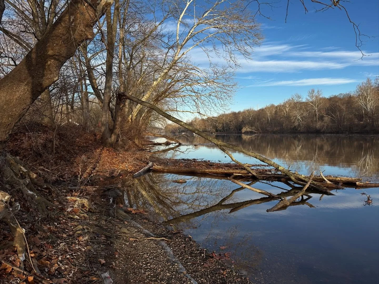 One hour, two volunteers, early morning fun - leave the river bank better than you found it!