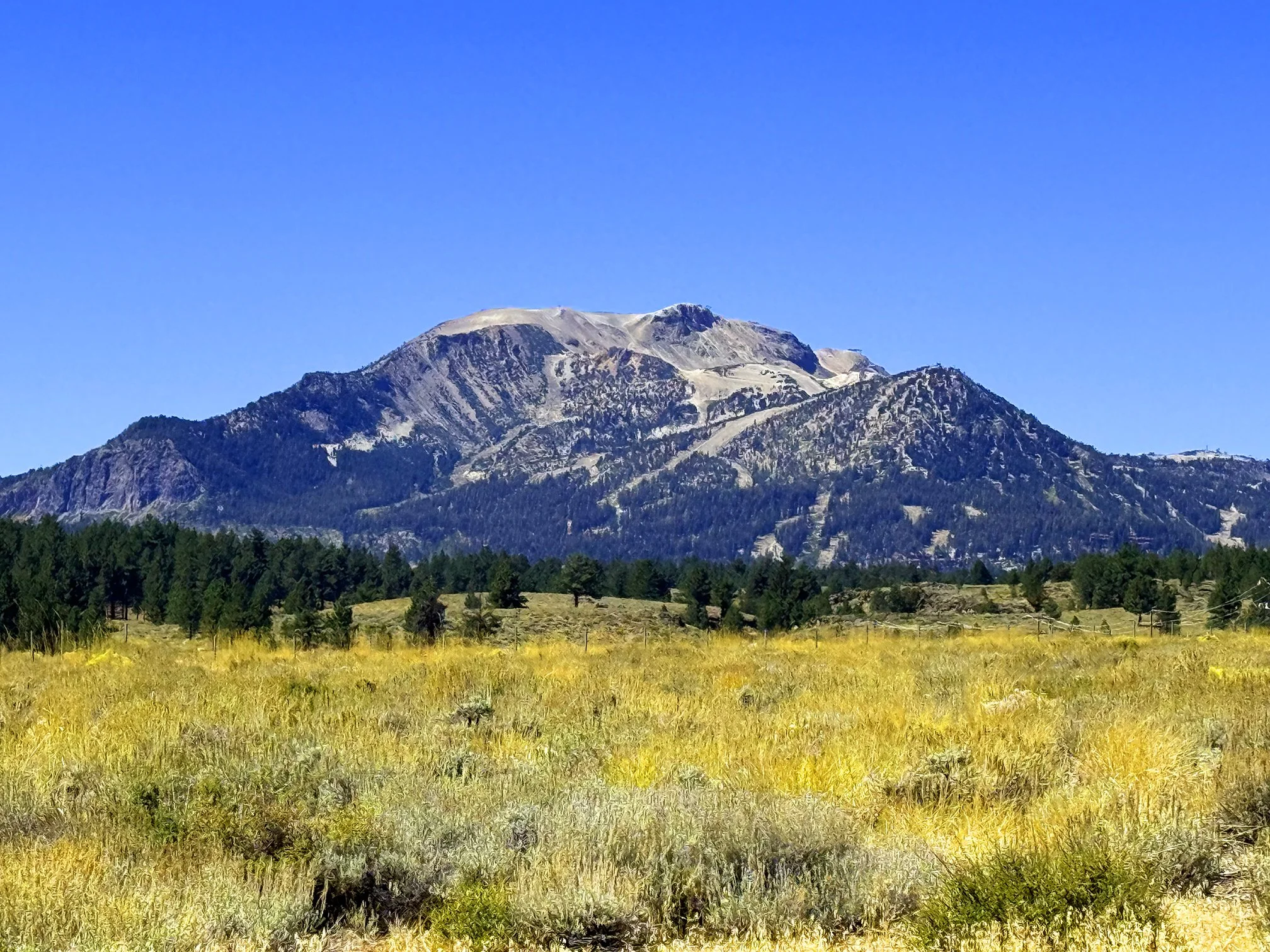 Mammoth_Social_01.jpg