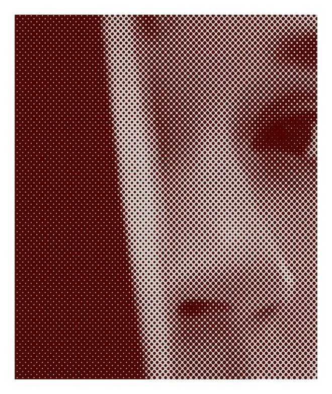 half-tone-dev-vibes.png