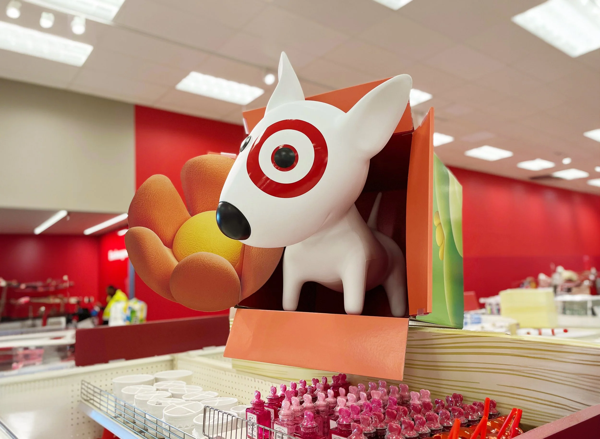 Target Signage Photo of Target Store with Flower and Target Dog Bullseye for Spring Day by Noah Camp