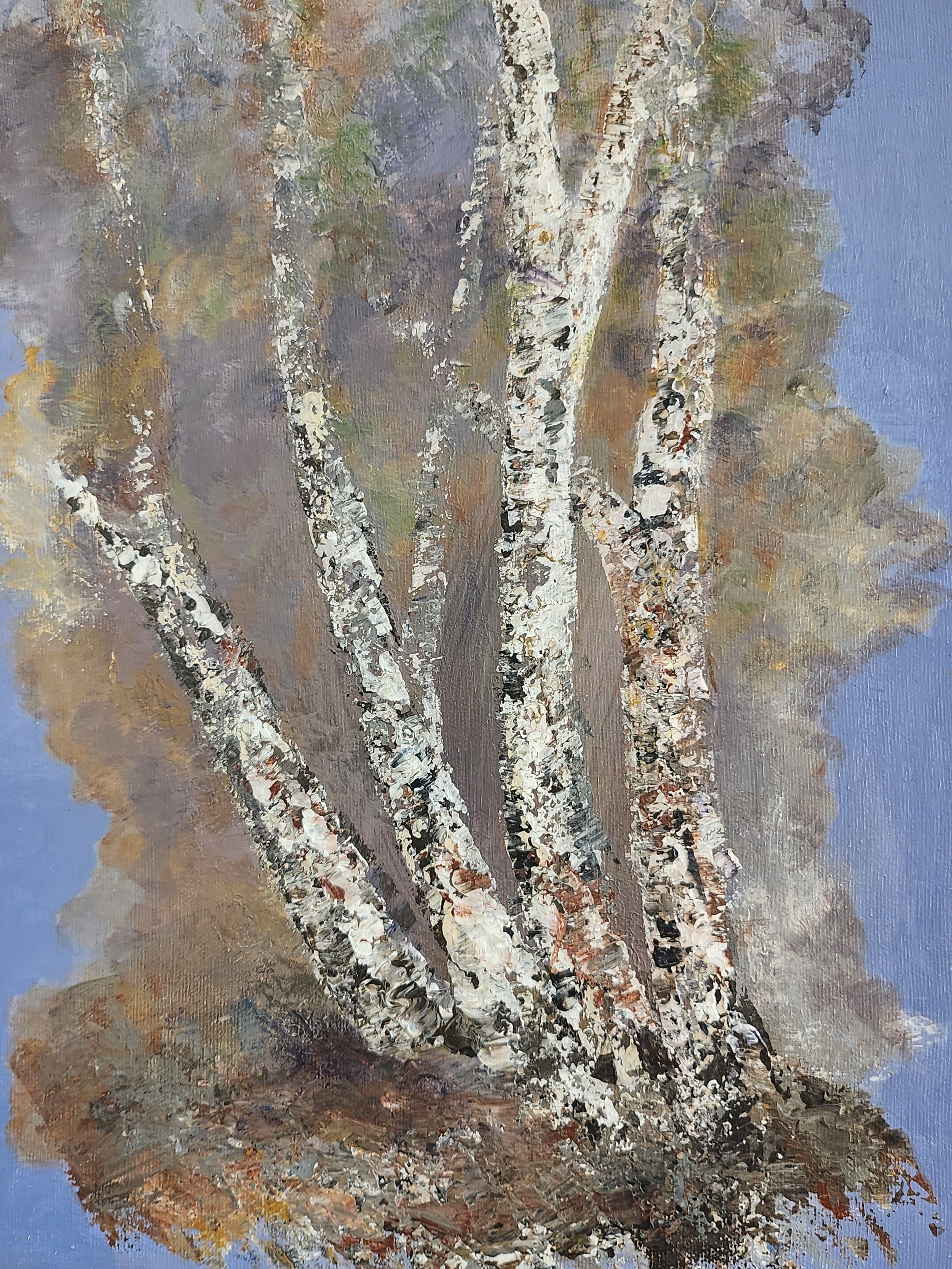 2021 hlue birch7.jpg