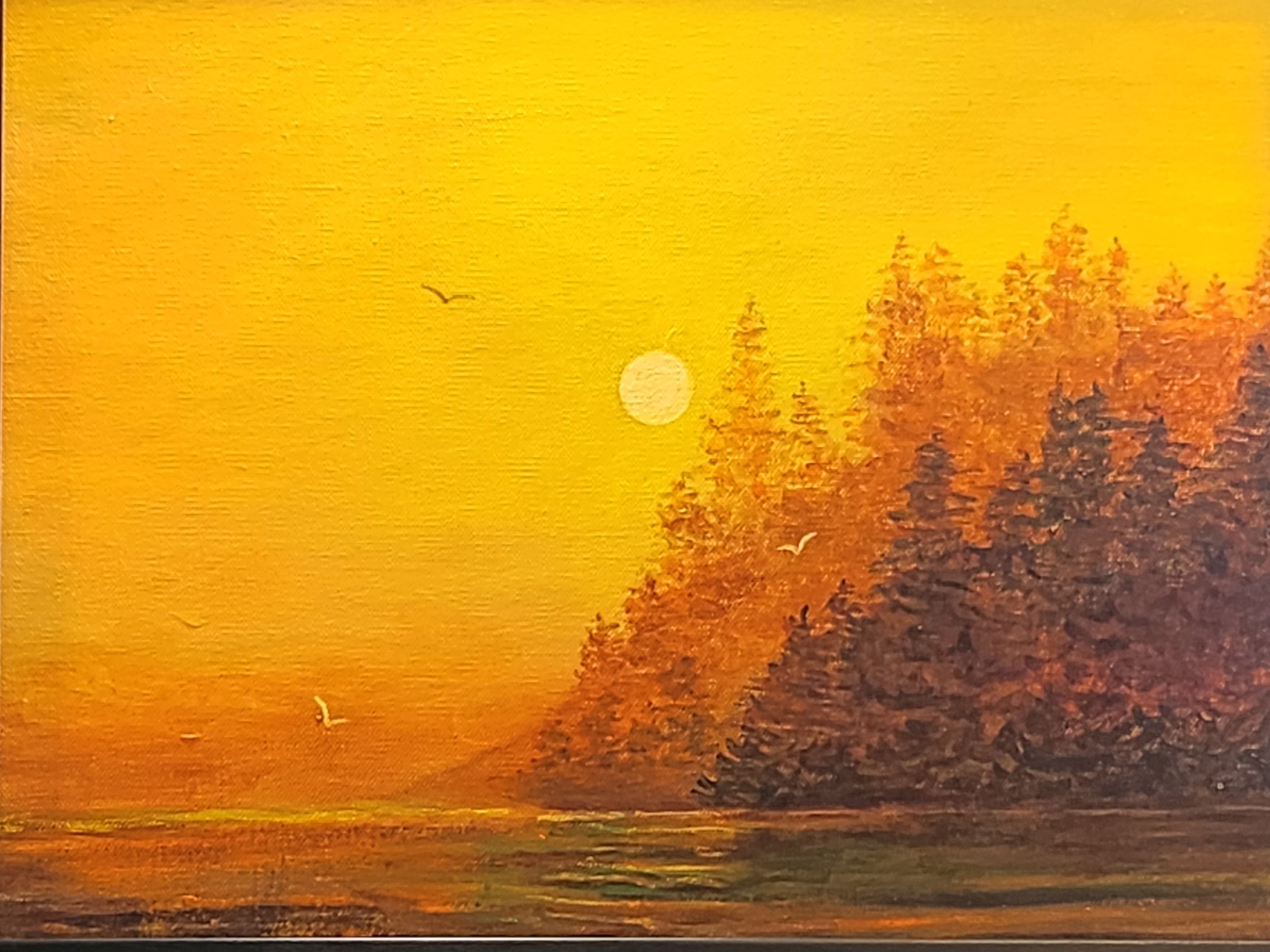 2015.sun on the lake20.jpg