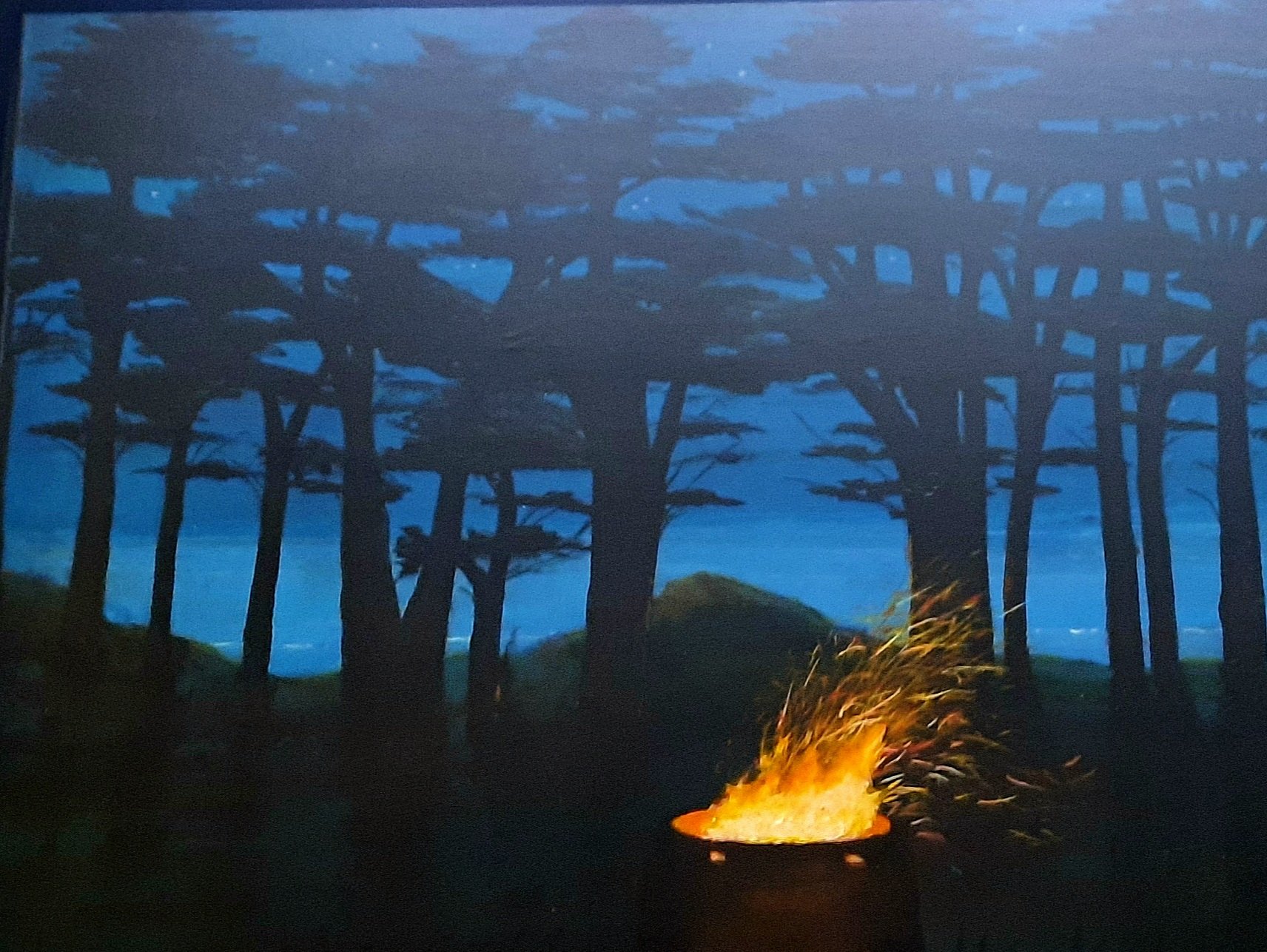 Fire Pit