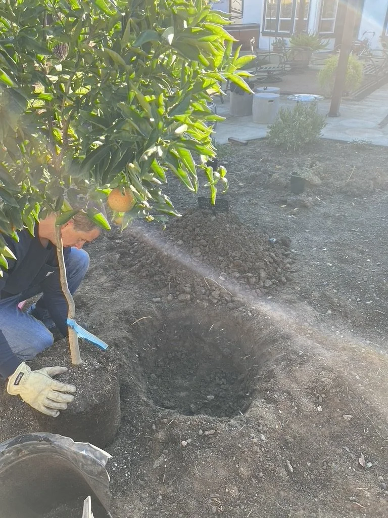 Creating &amp; Healing